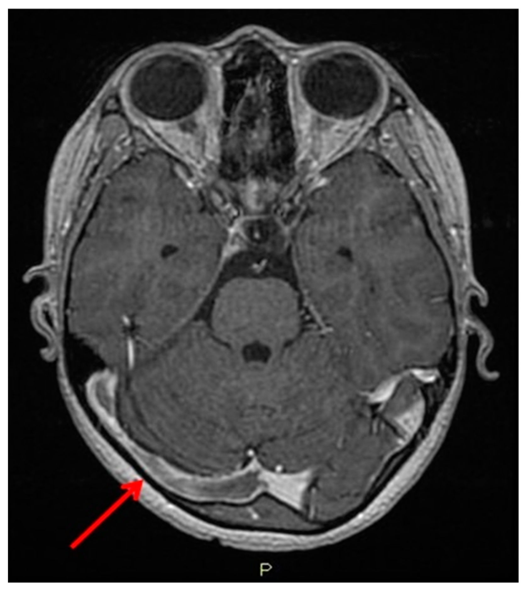 Reports 08 00022 g001