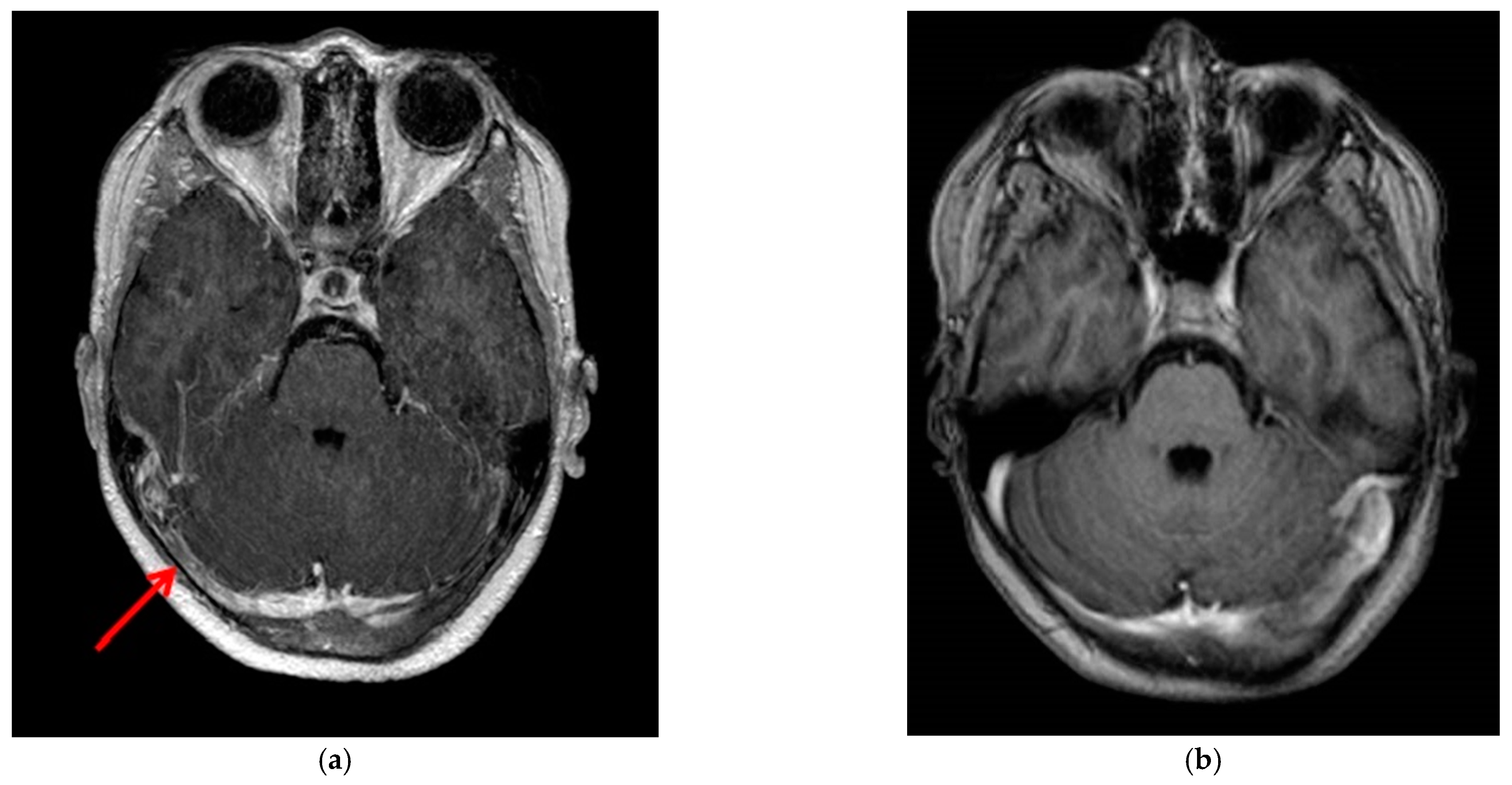 Reports 08 00022 g002