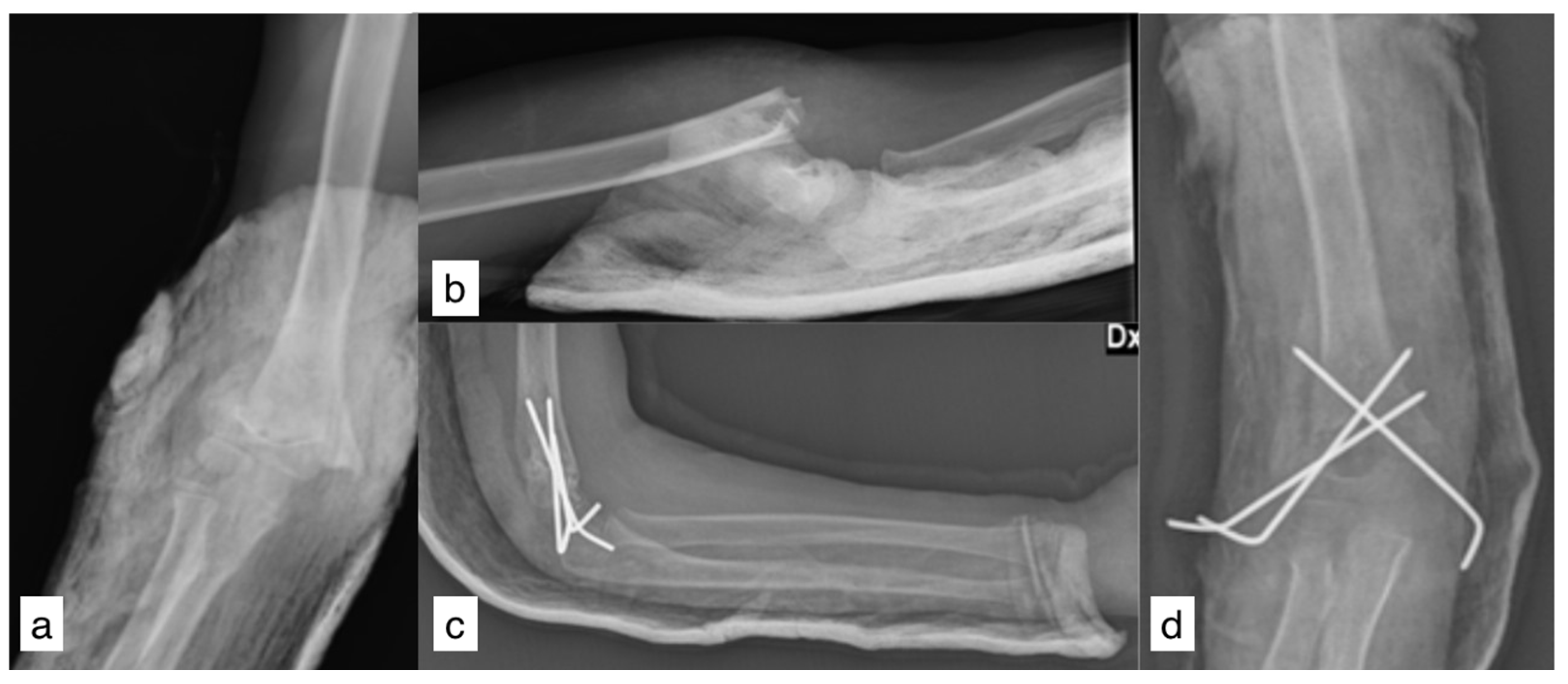 Reports 08 00023 g001