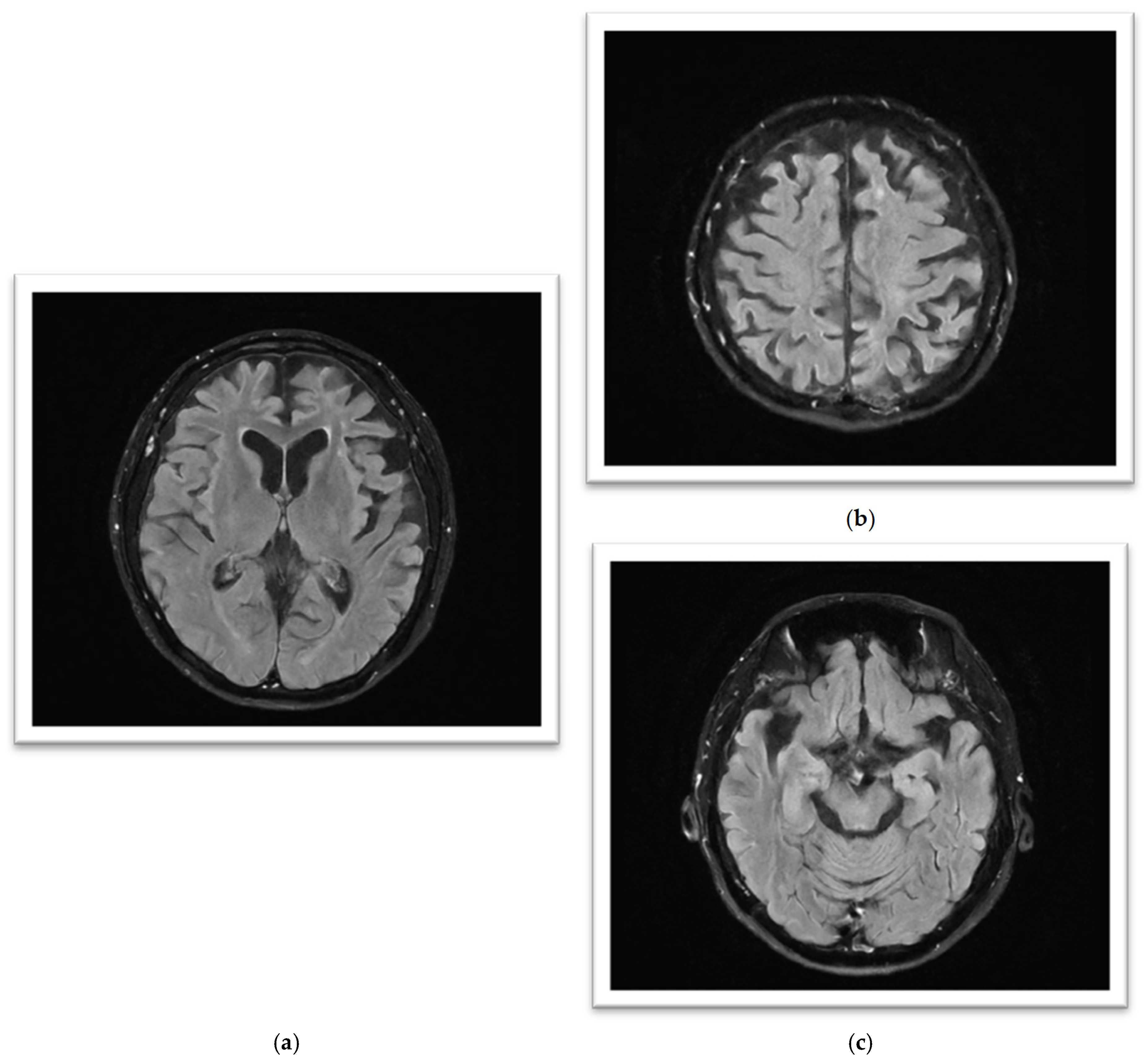 Reports 08 00024 g002 Reports 08 00024 g002