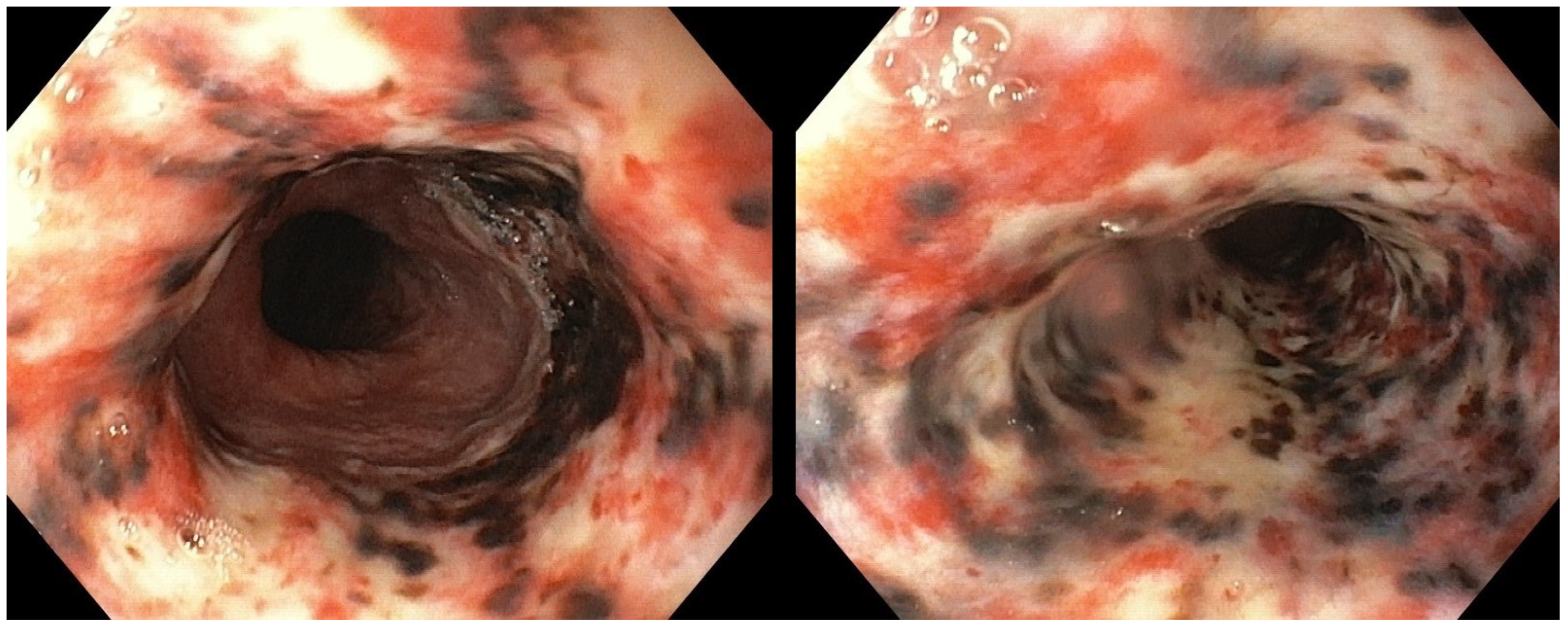 Reports 08 00025 g002