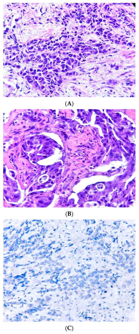 Reports 08 00031 g0a1