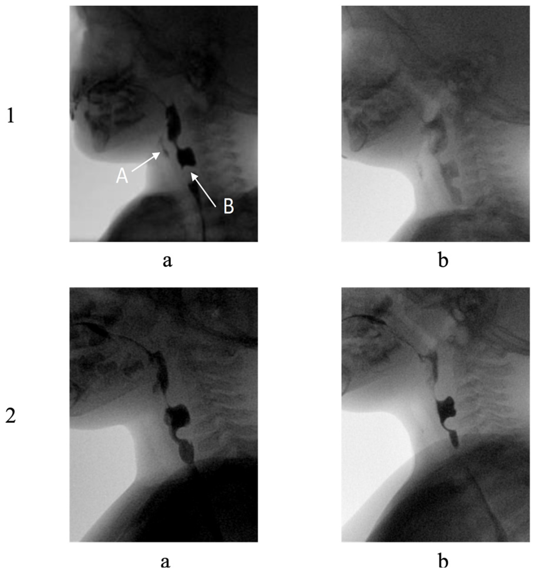 Reports 08 00036 g002