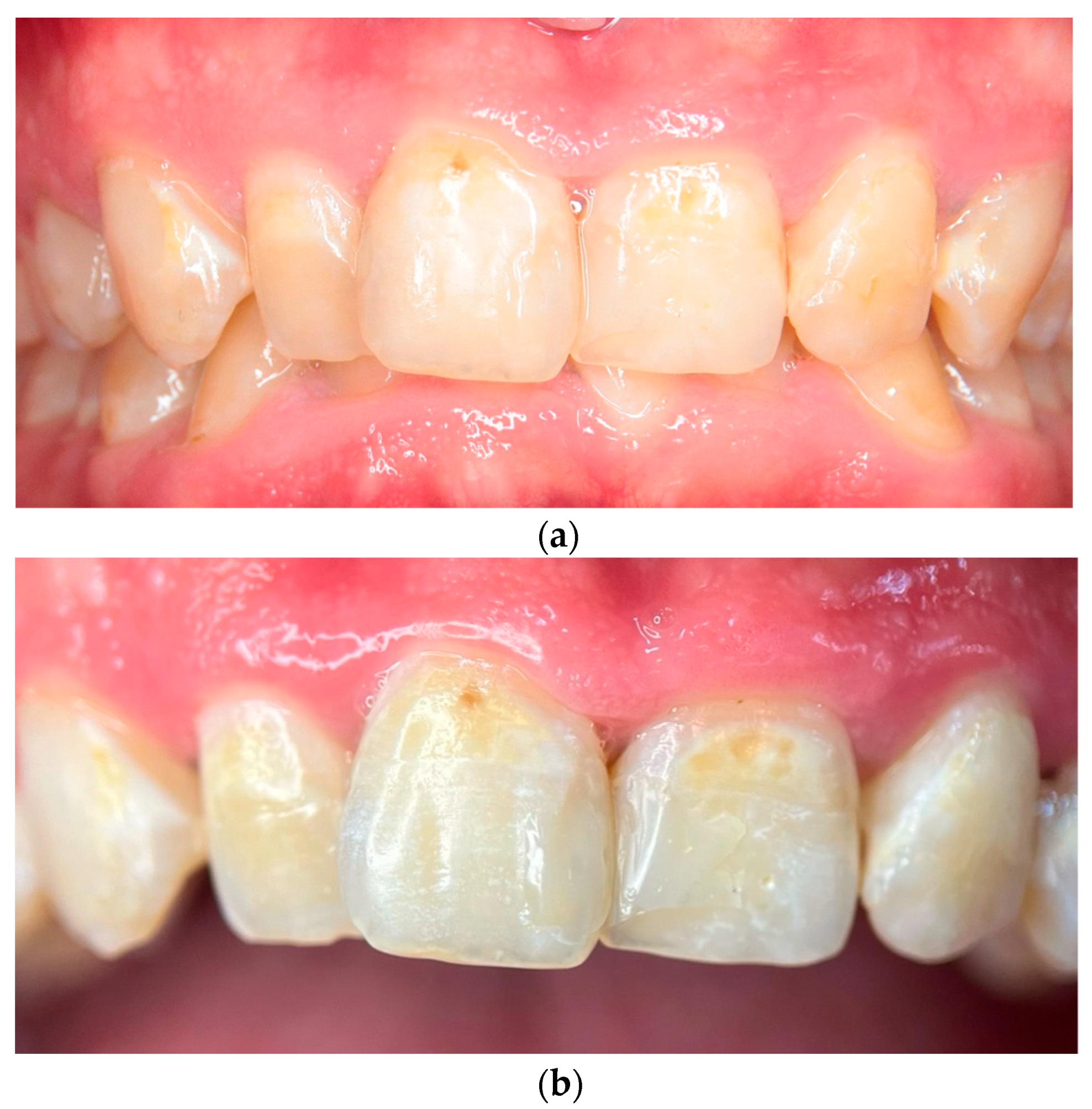 Reports 08 00039 g002