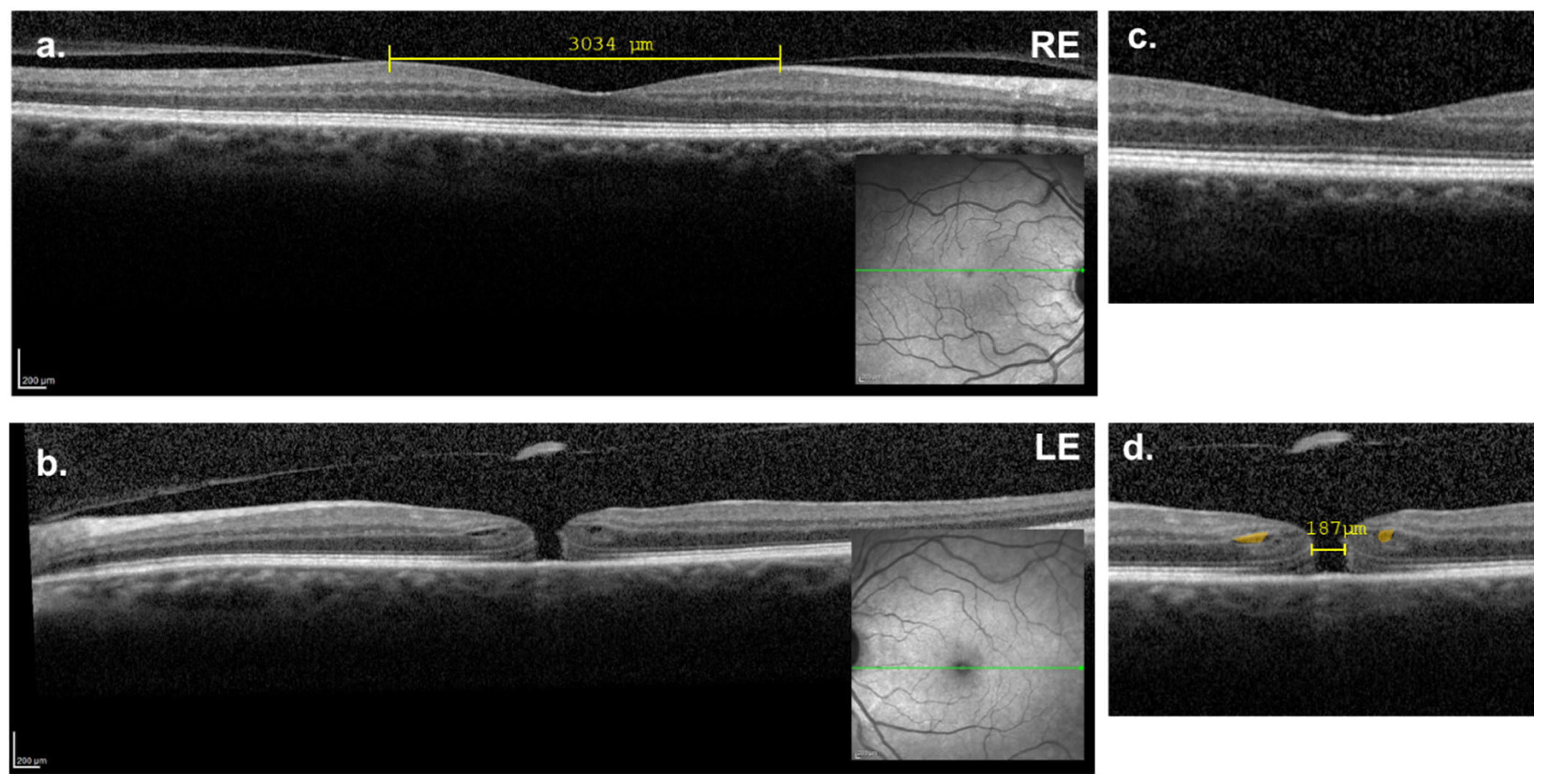 Reports 08 00040 g001