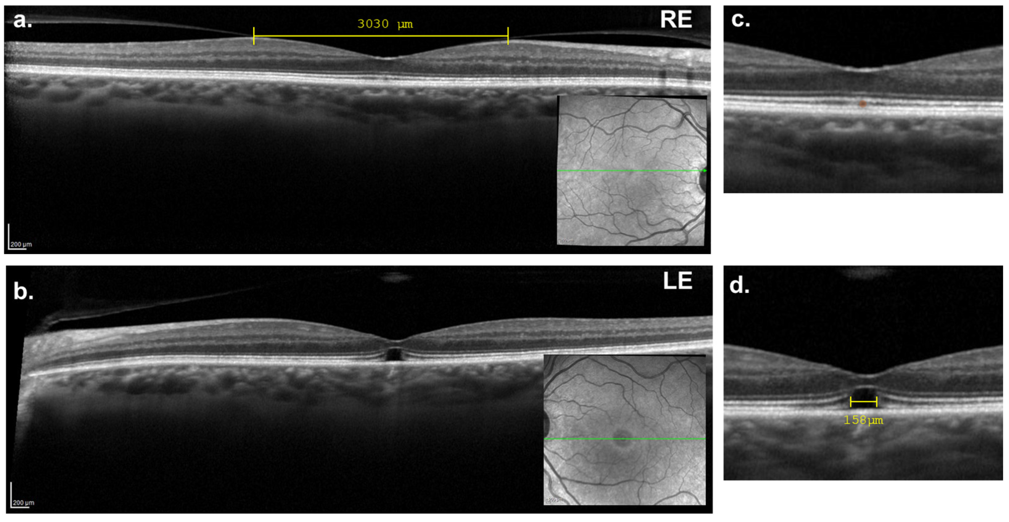 Reports 08 00040 g002