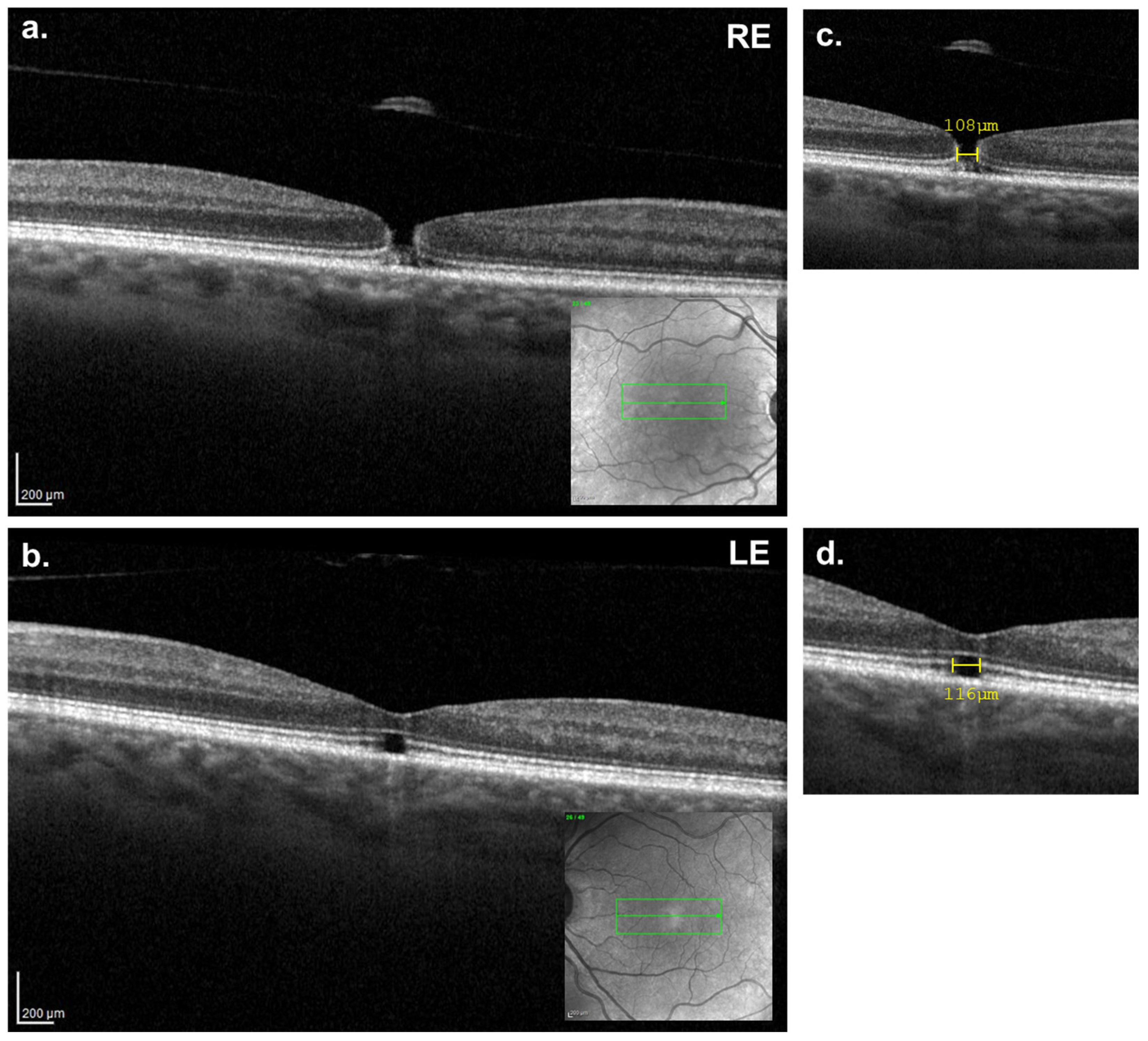 Reports 08 00040 g003