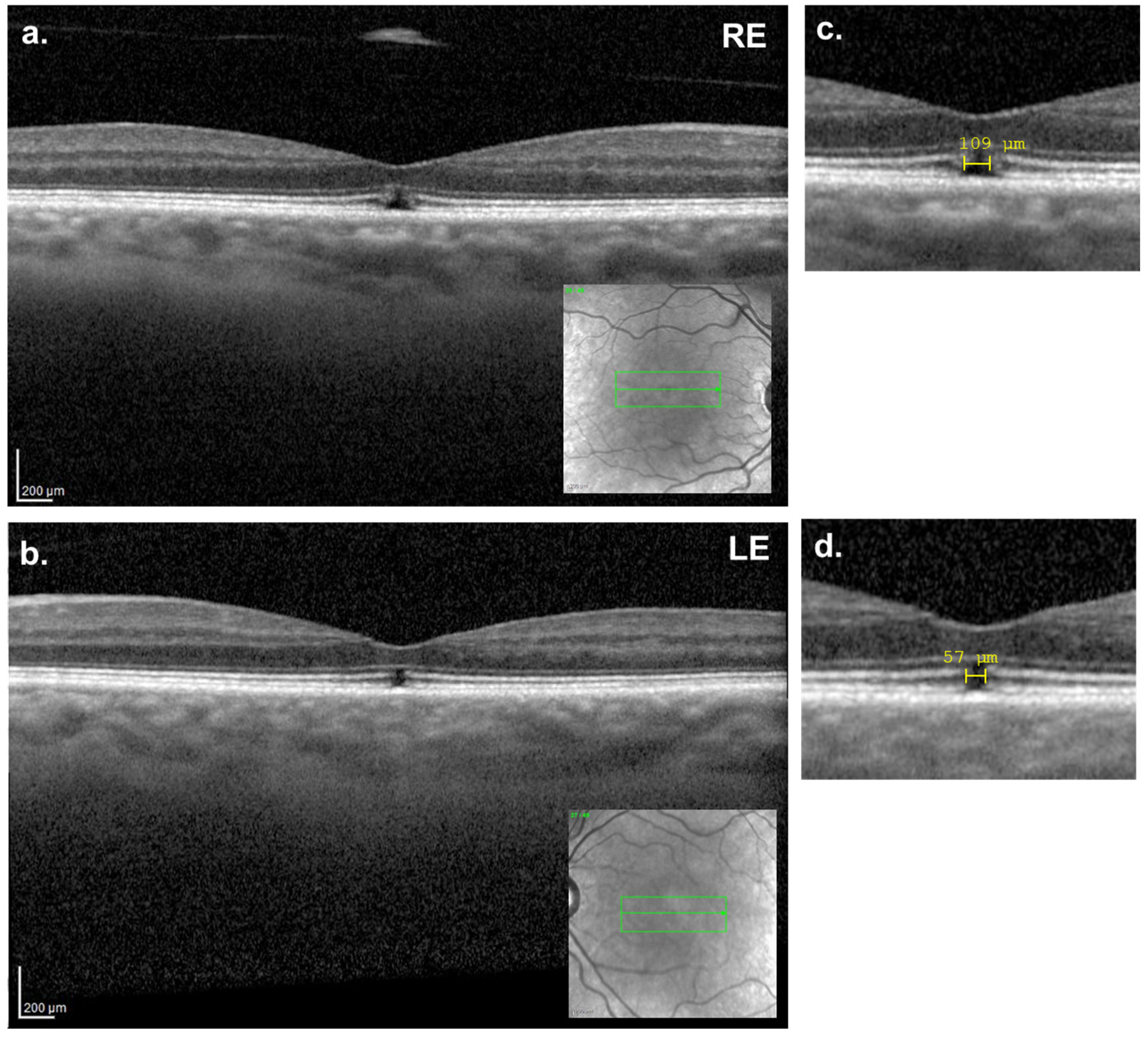 Reports 08 00040 g004