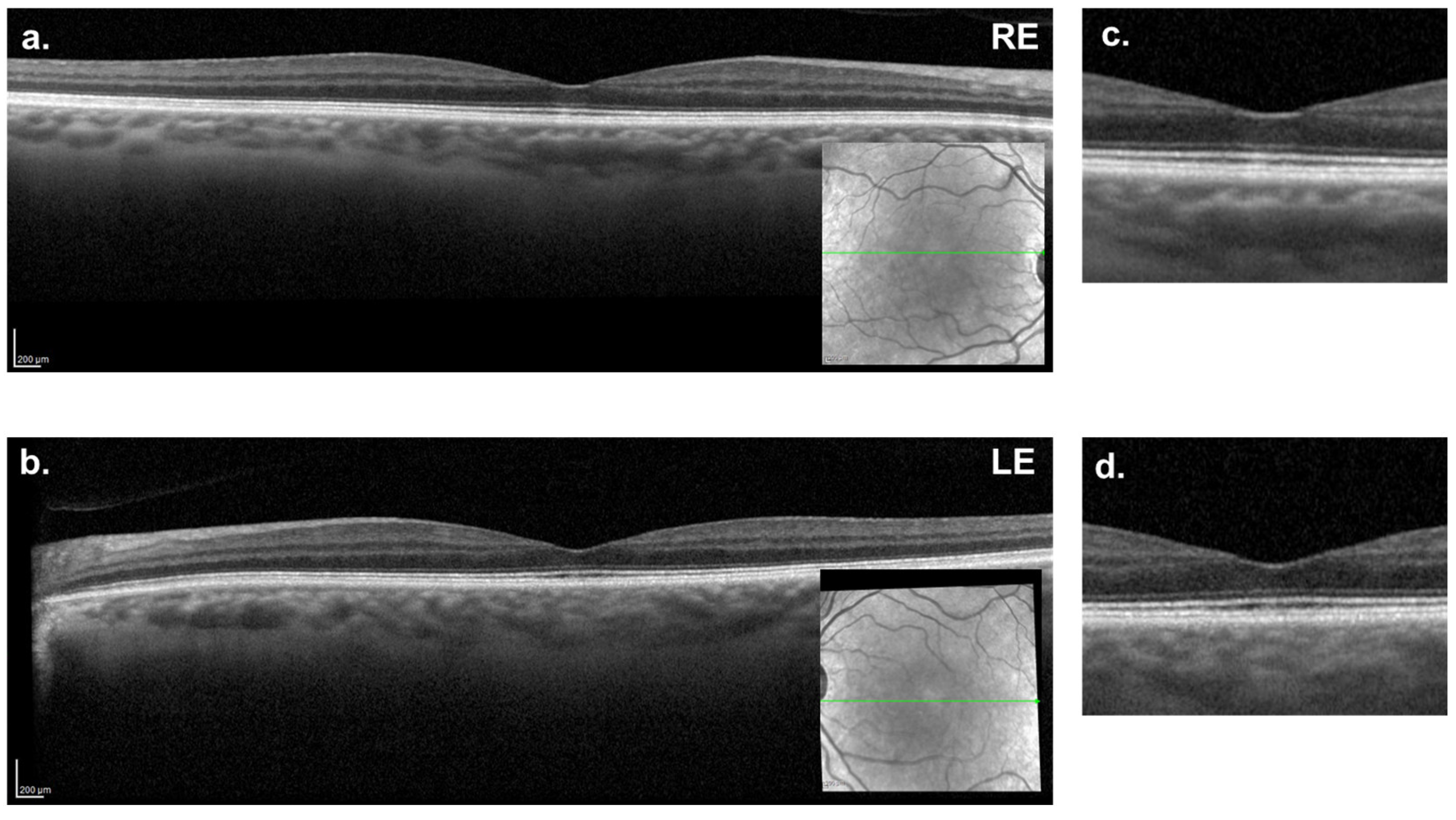Reports 08 00040 g005