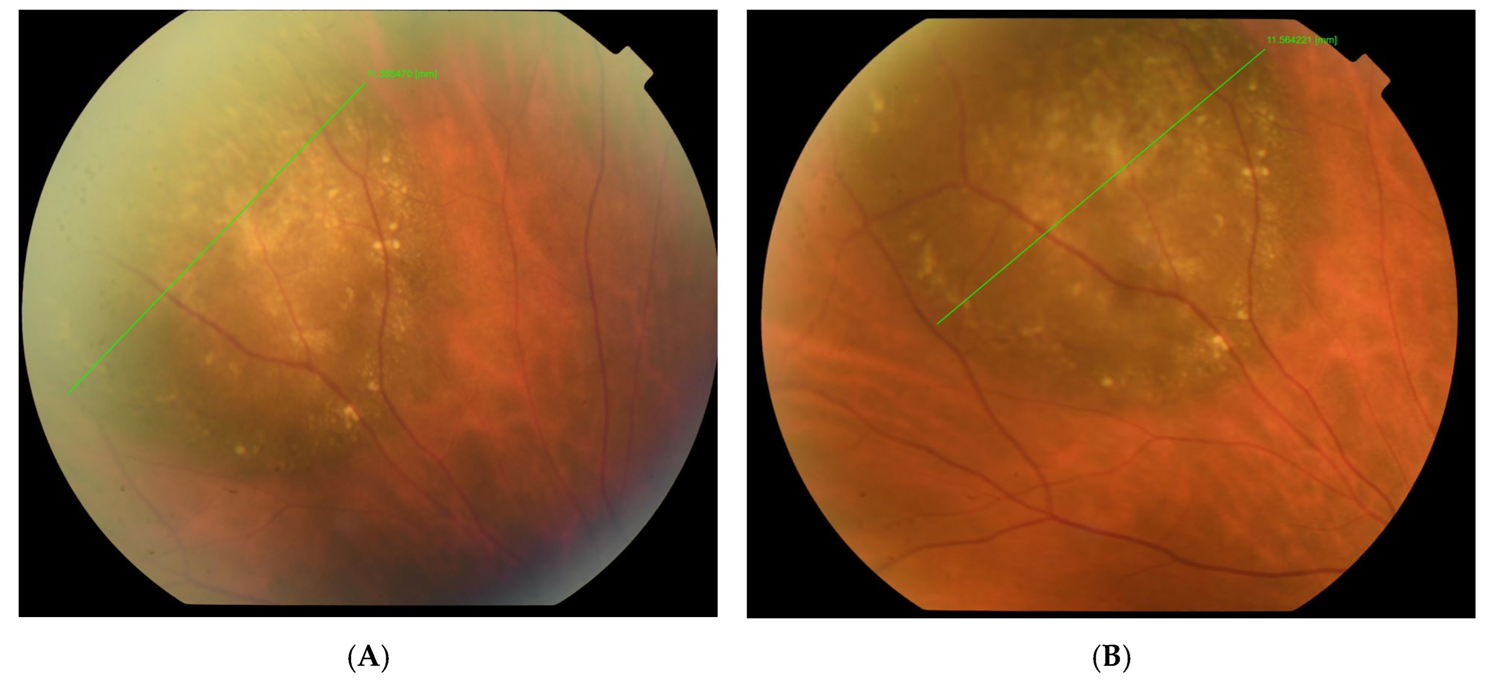 Reports 08 00041 g001