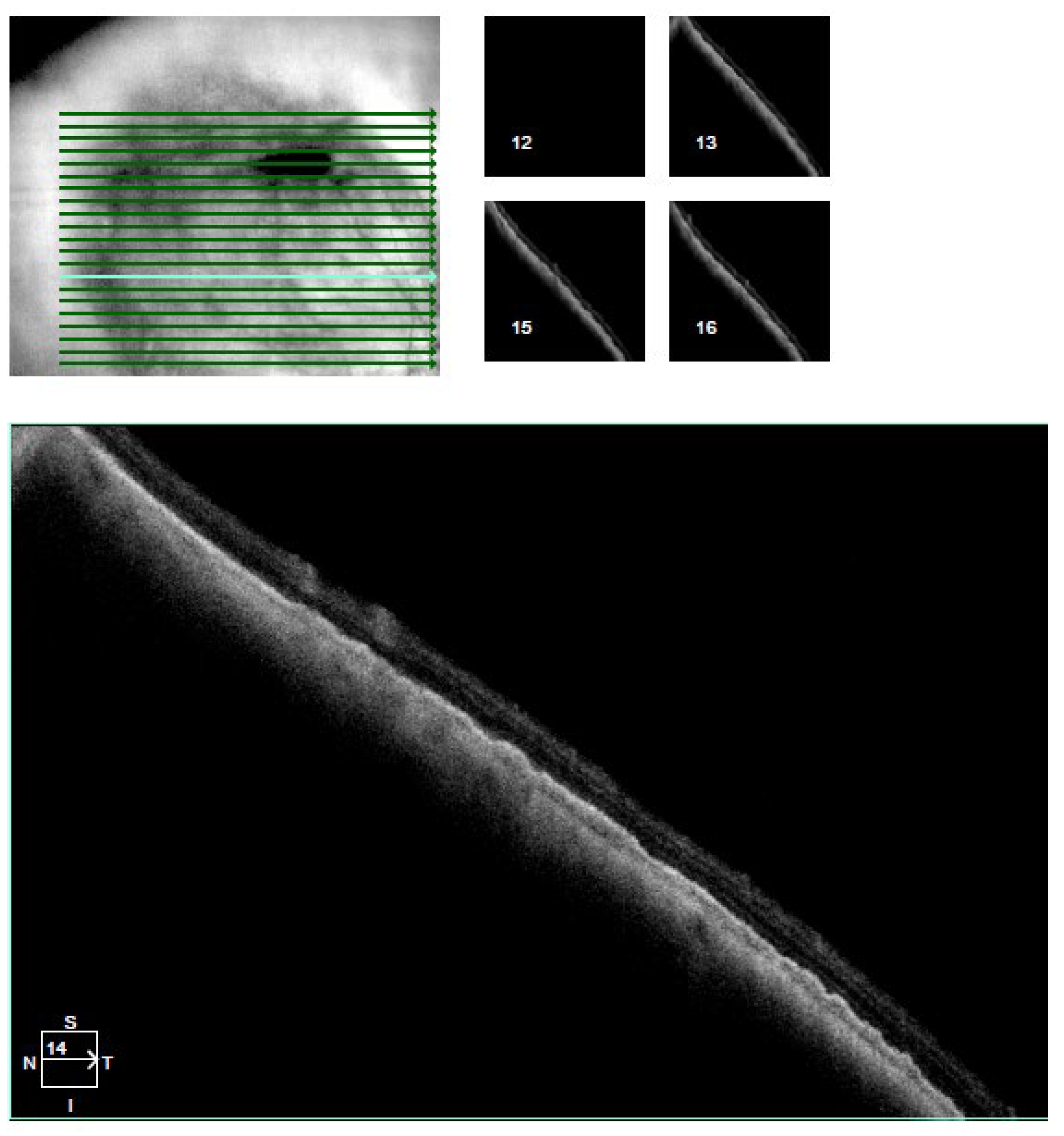 Reports 08 00041 g003