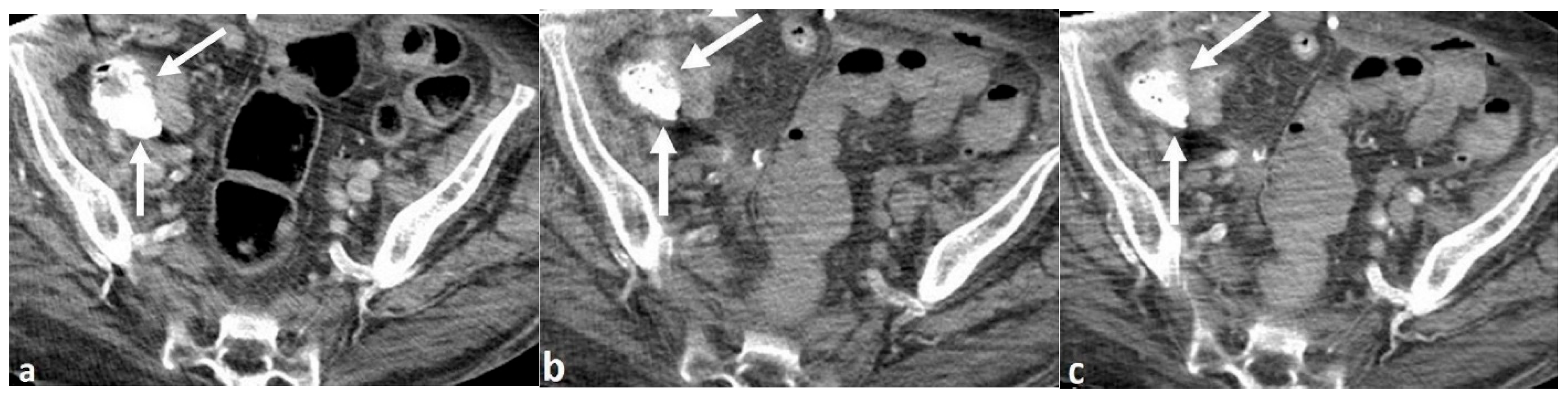 Reports 08 00045 g001