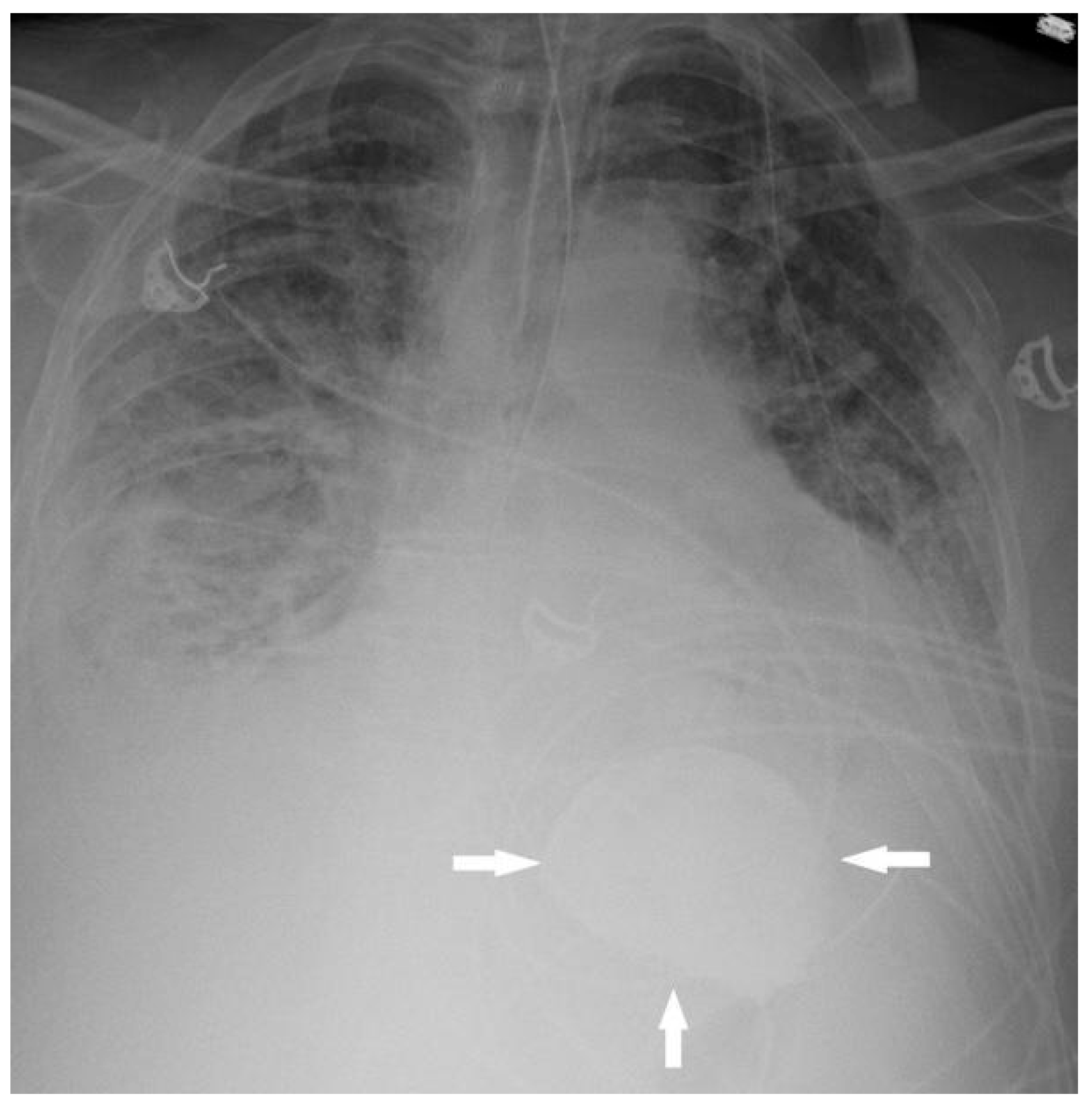 Reports 08 00045 g002