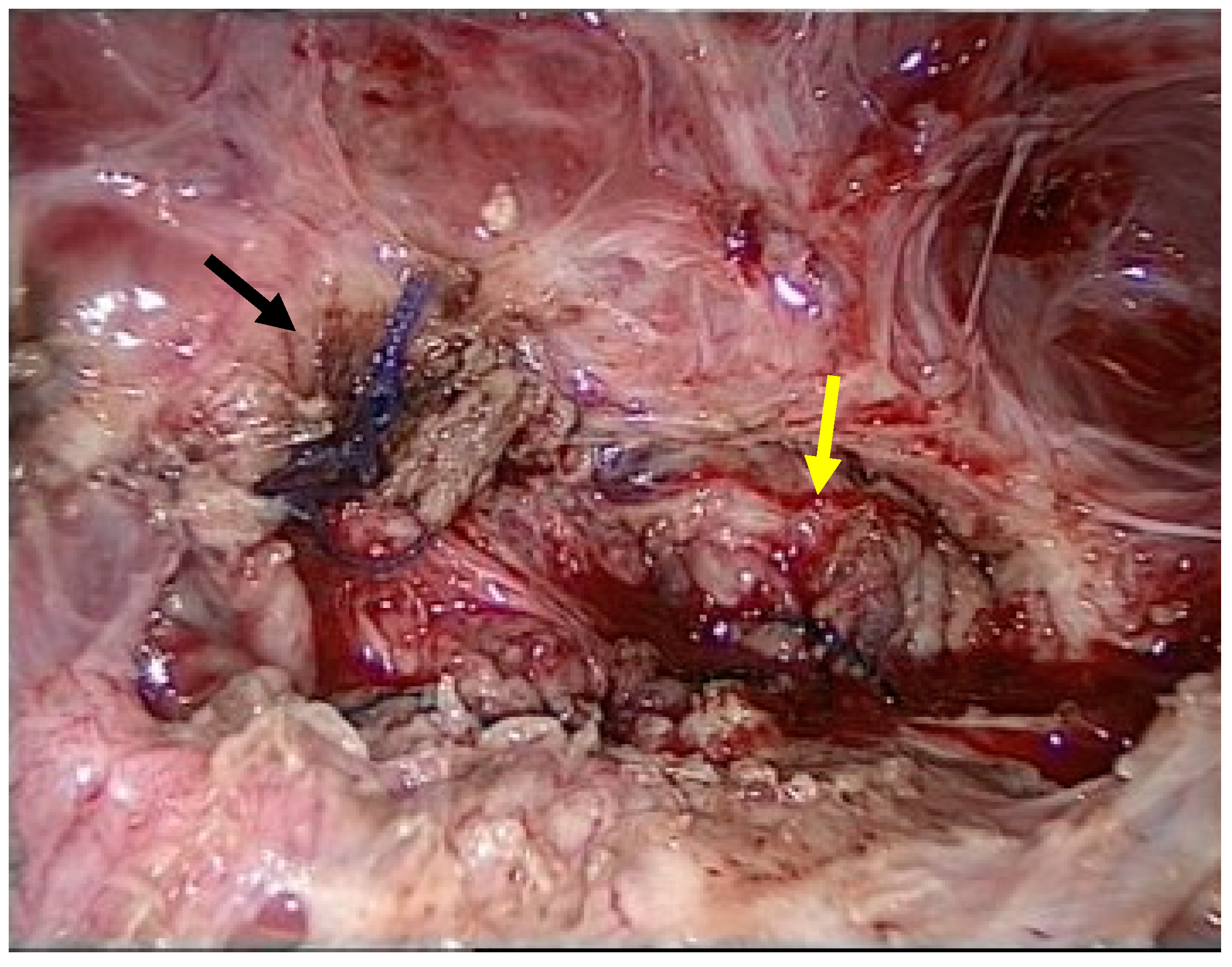 Reports 08 00046 g003