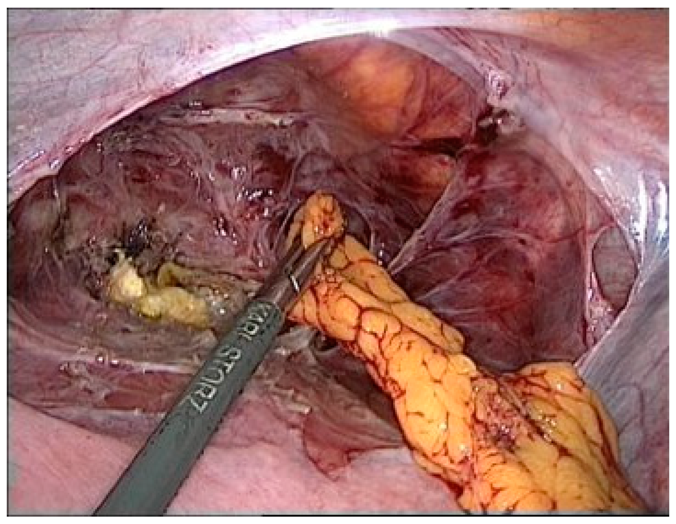 Reports 08 00046 g004