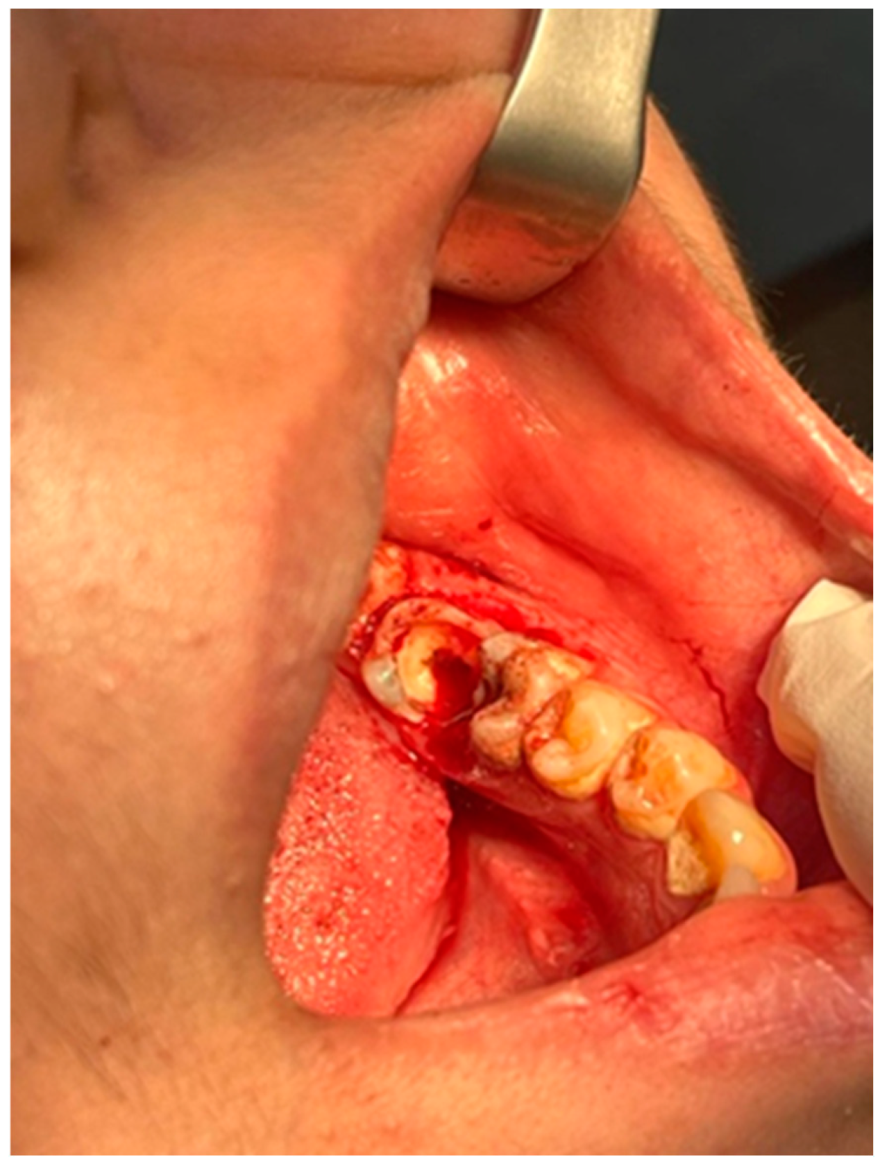 Reports 08 00052 g003