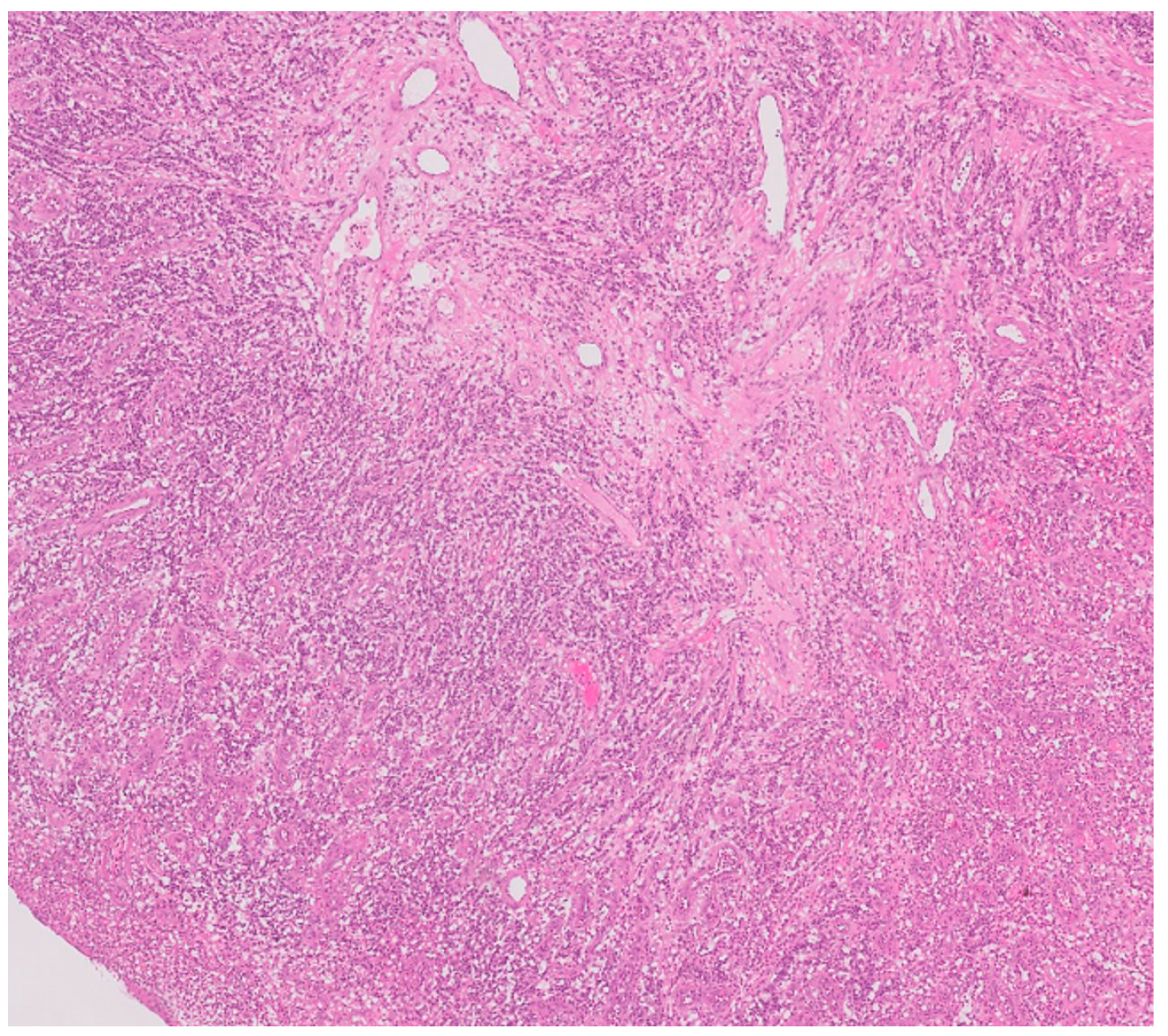 Reports 08 00052 g004