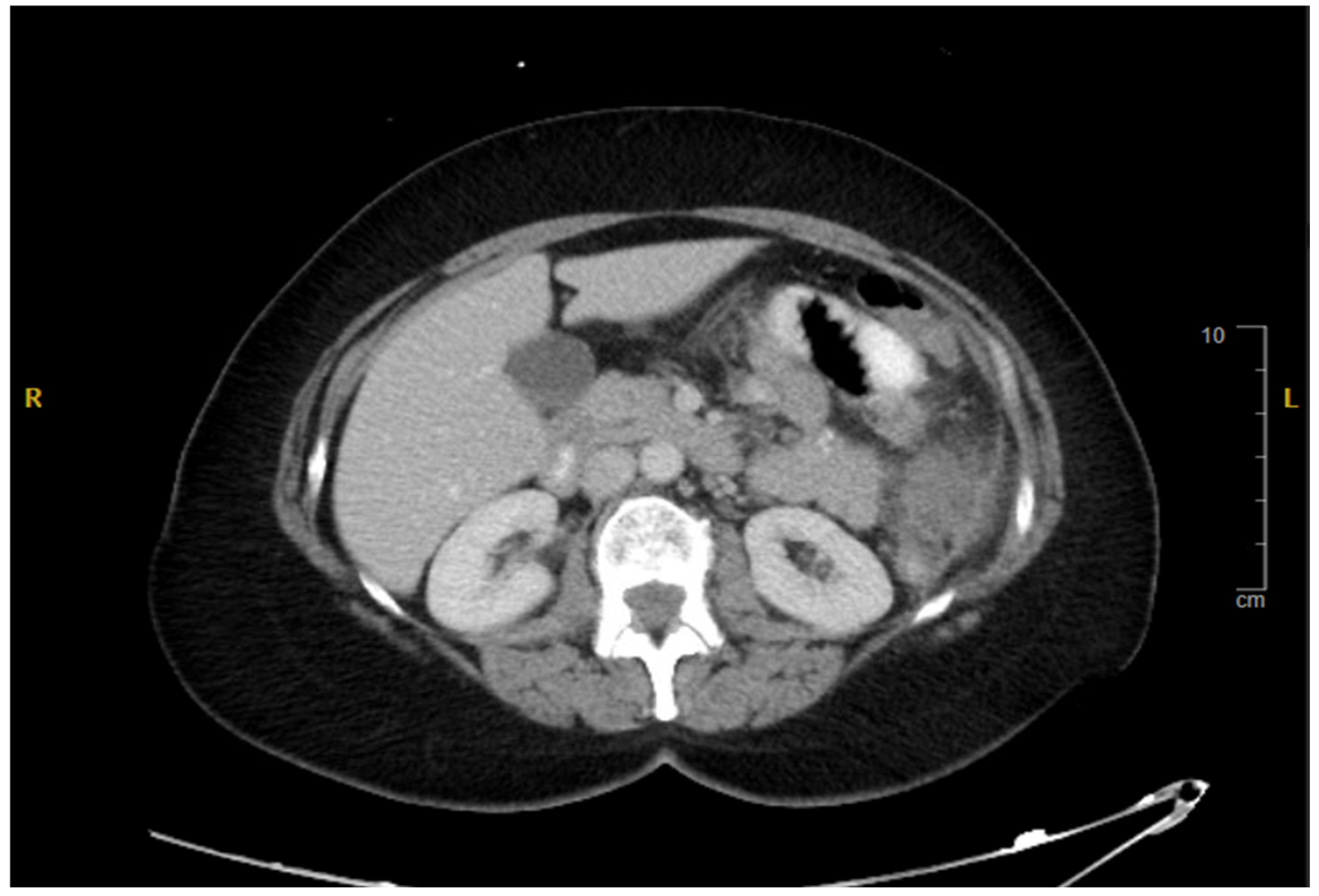 Reports 08 00059 g002