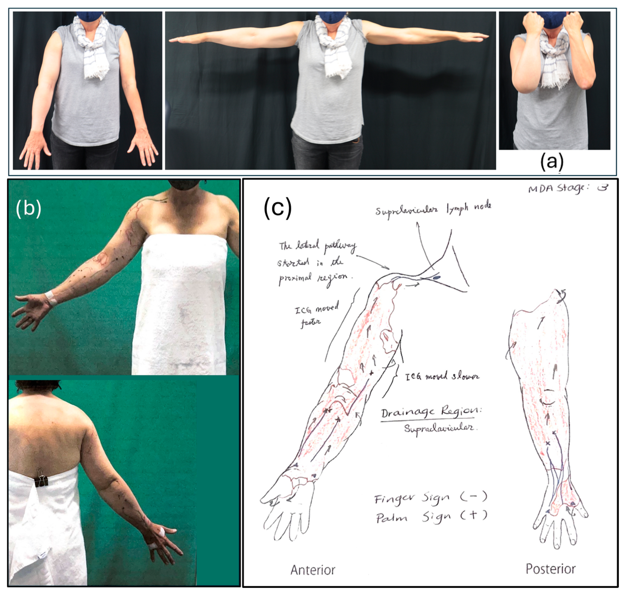 Reports 08 00063 g003