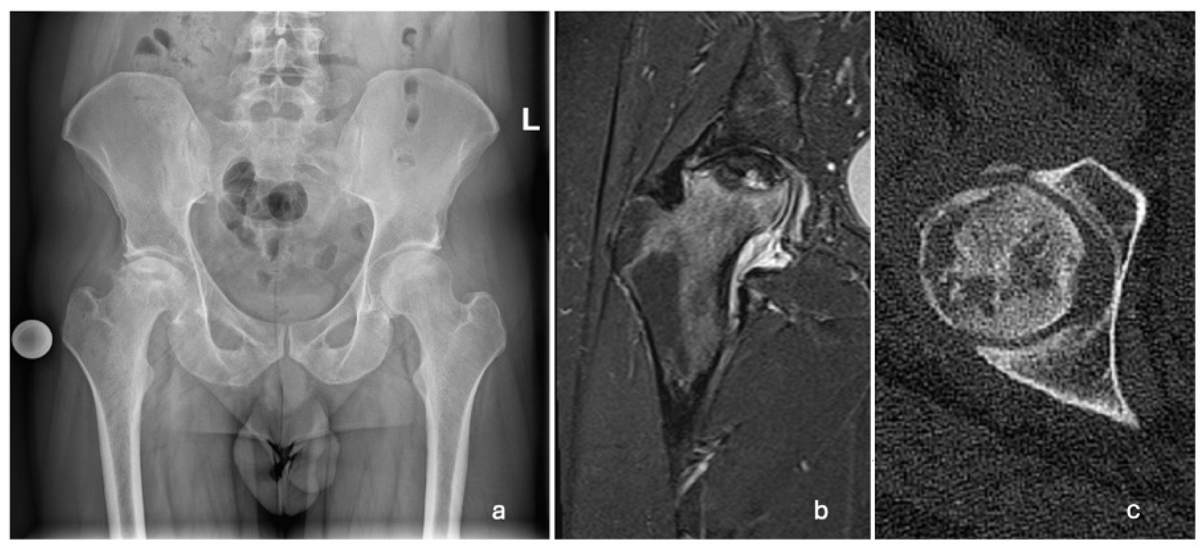 Reports 08 00065 g001