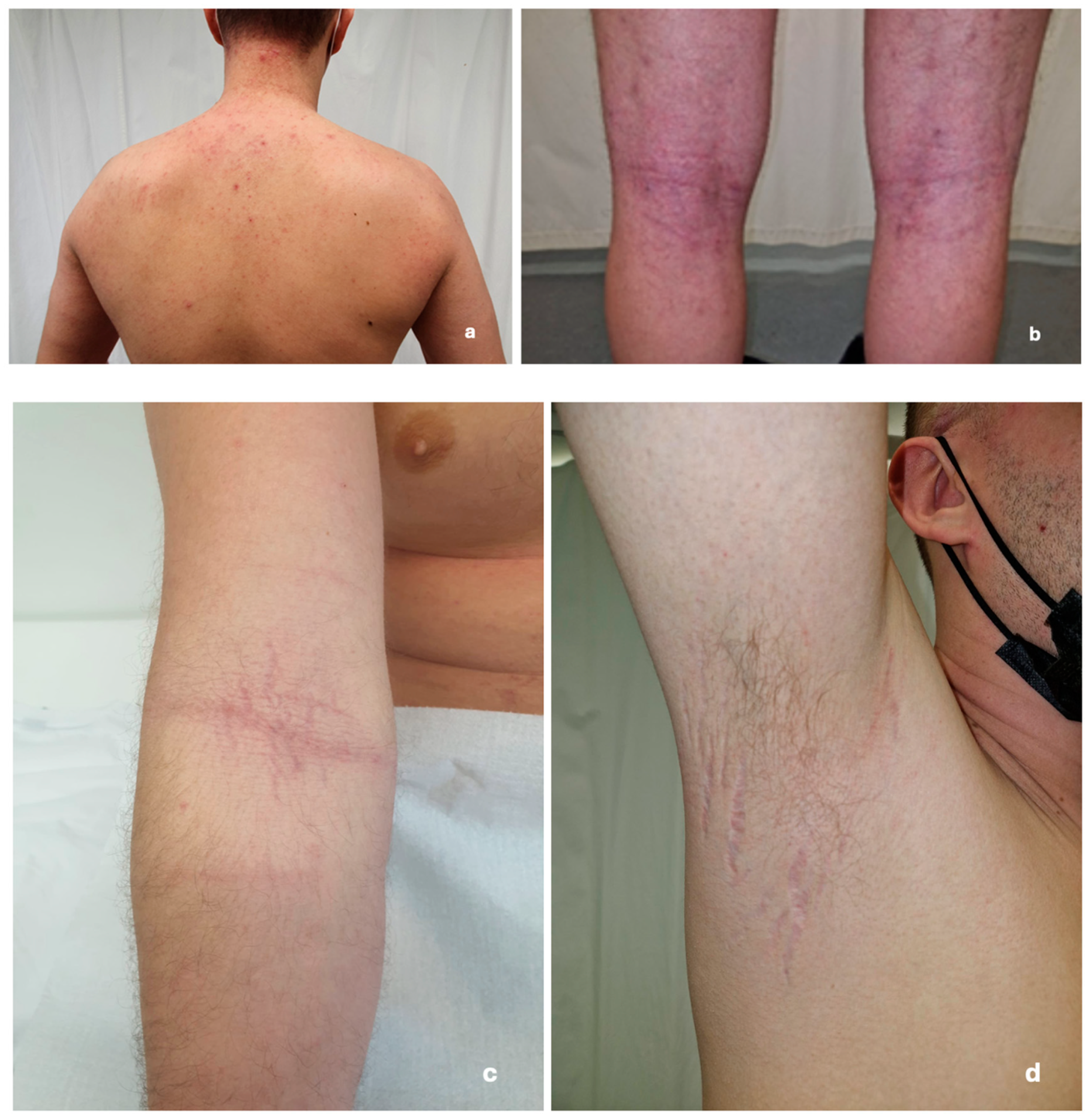 Reports 08 00065 g002