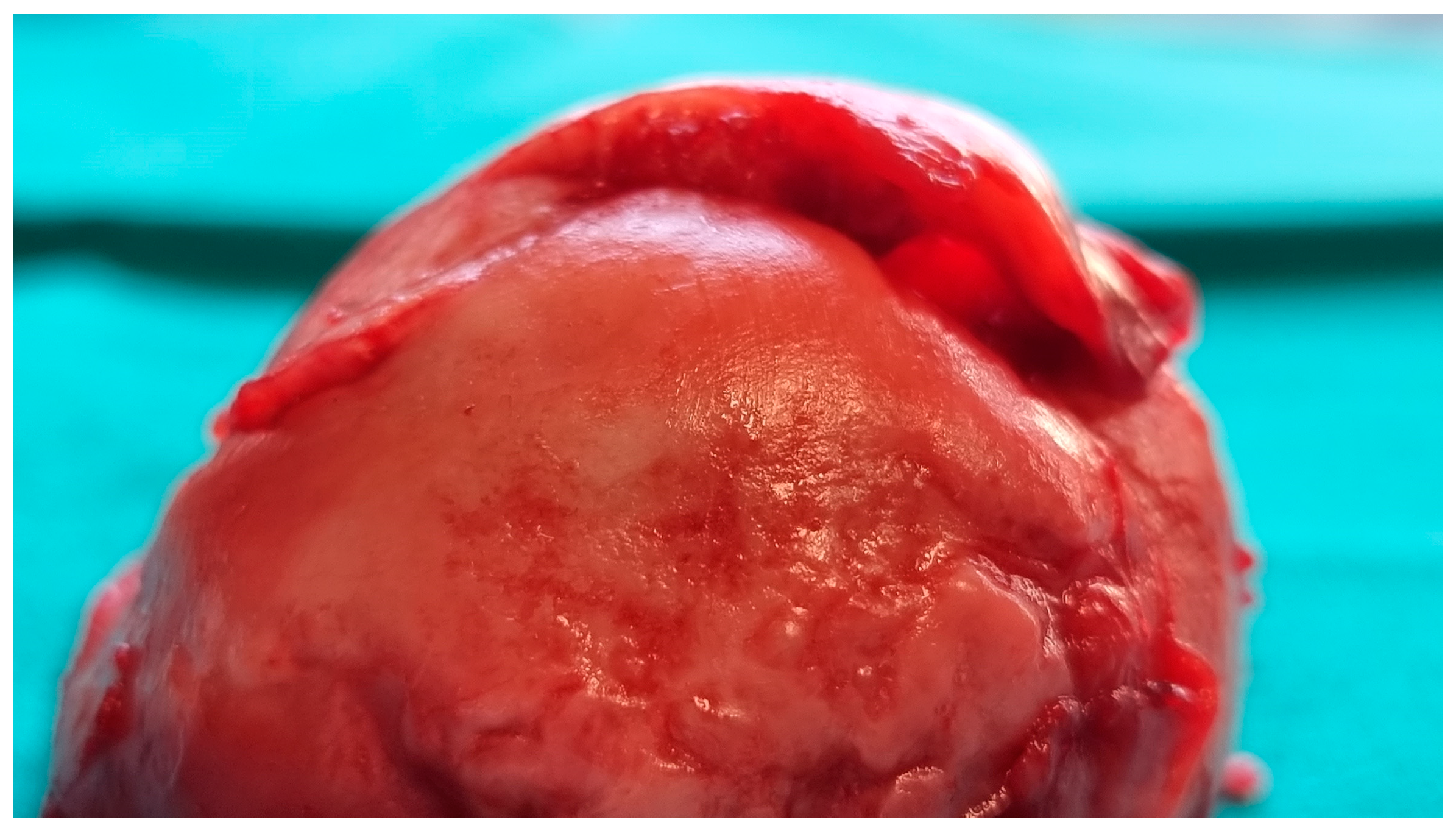 Reports 08 00065 g004