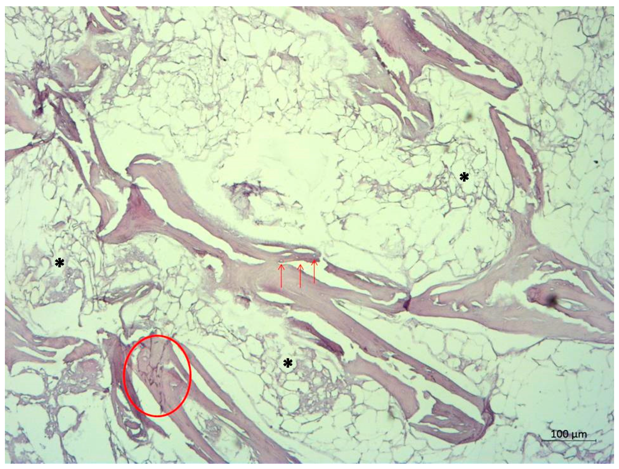 Reports 08 00065 g005