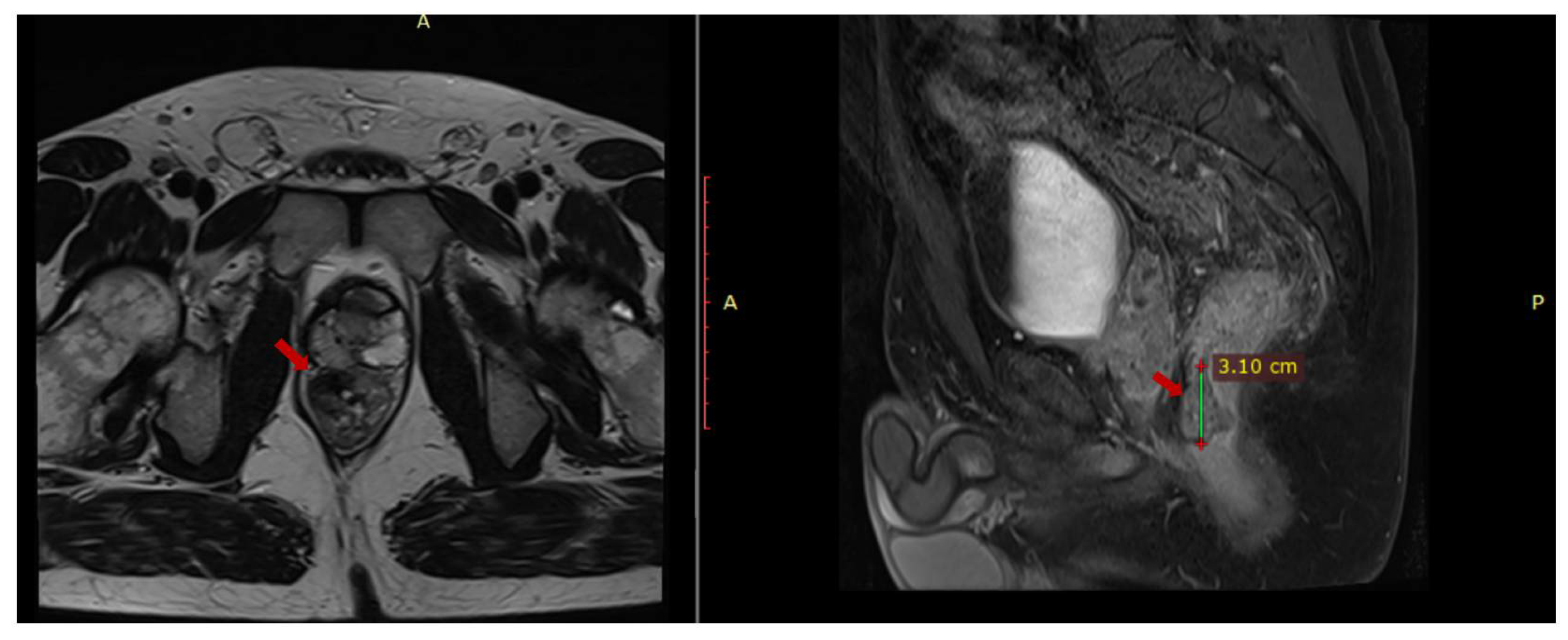 Reports 08 00067 g001