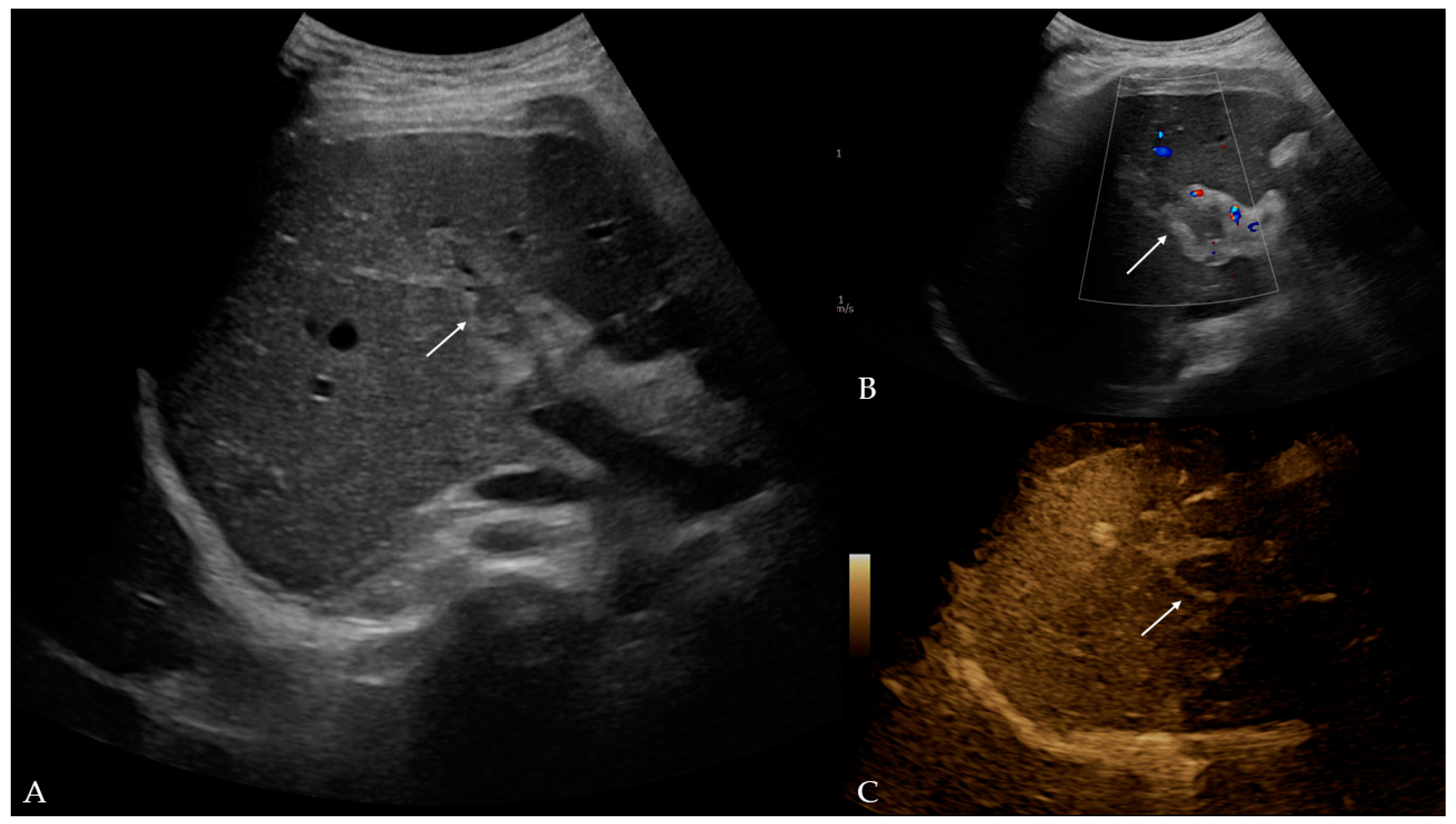 Reports 08 00068 g001