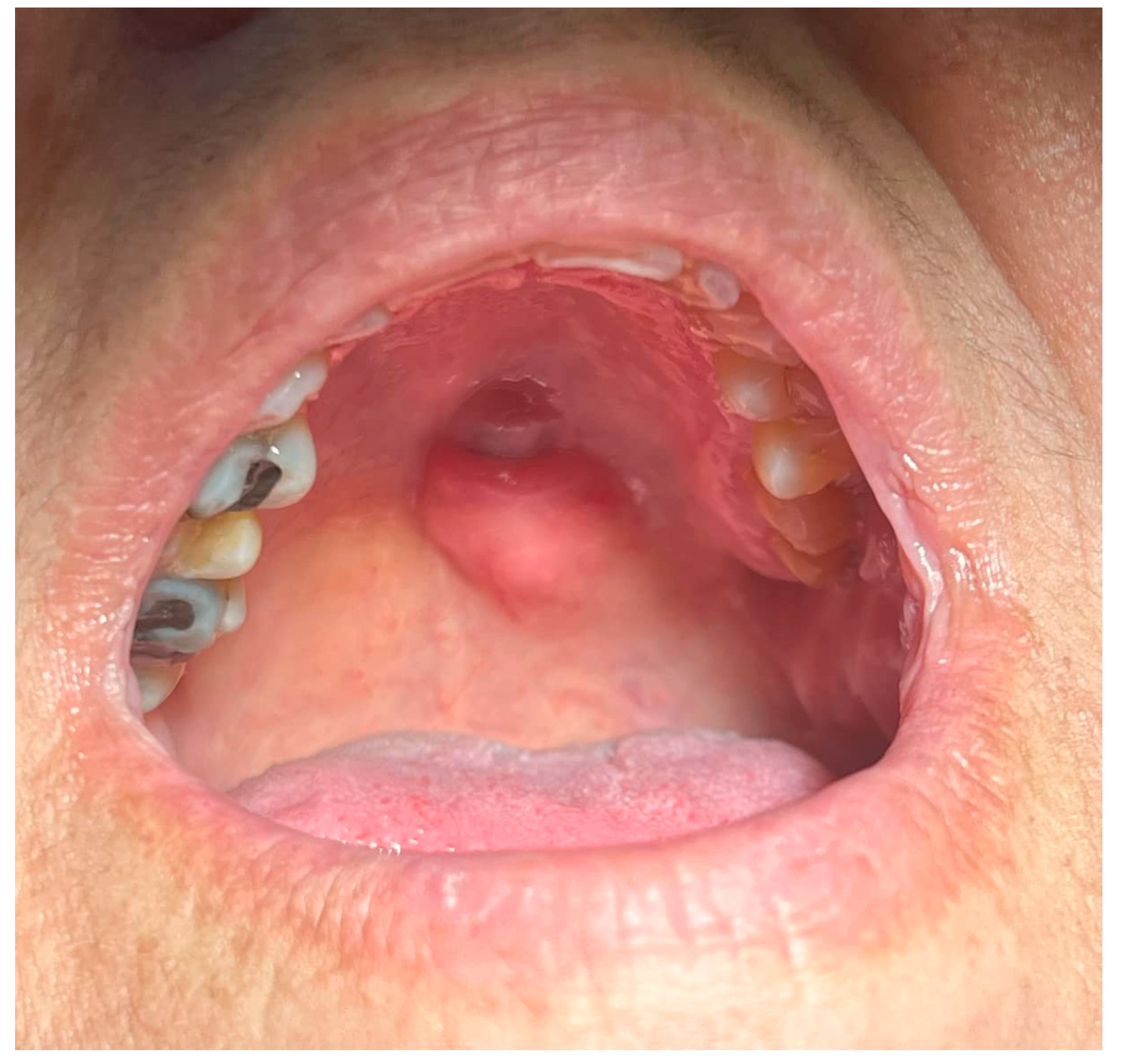 Reports 08 00070 g001