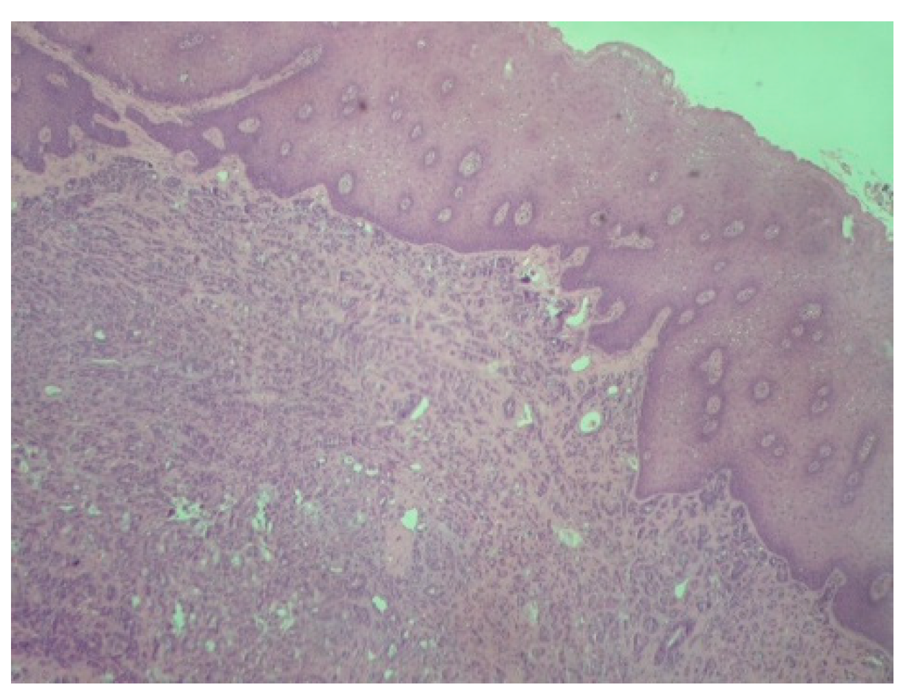 Reports 08 00070 g002