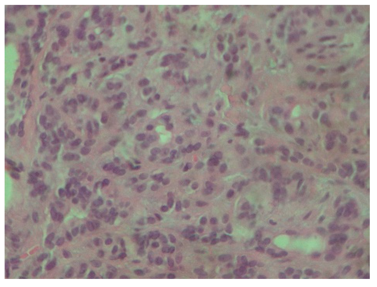 Reports 08 00070 g003