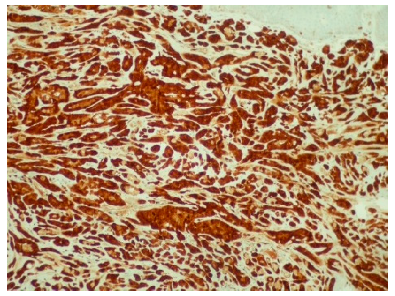 Reports 08 00070 g005