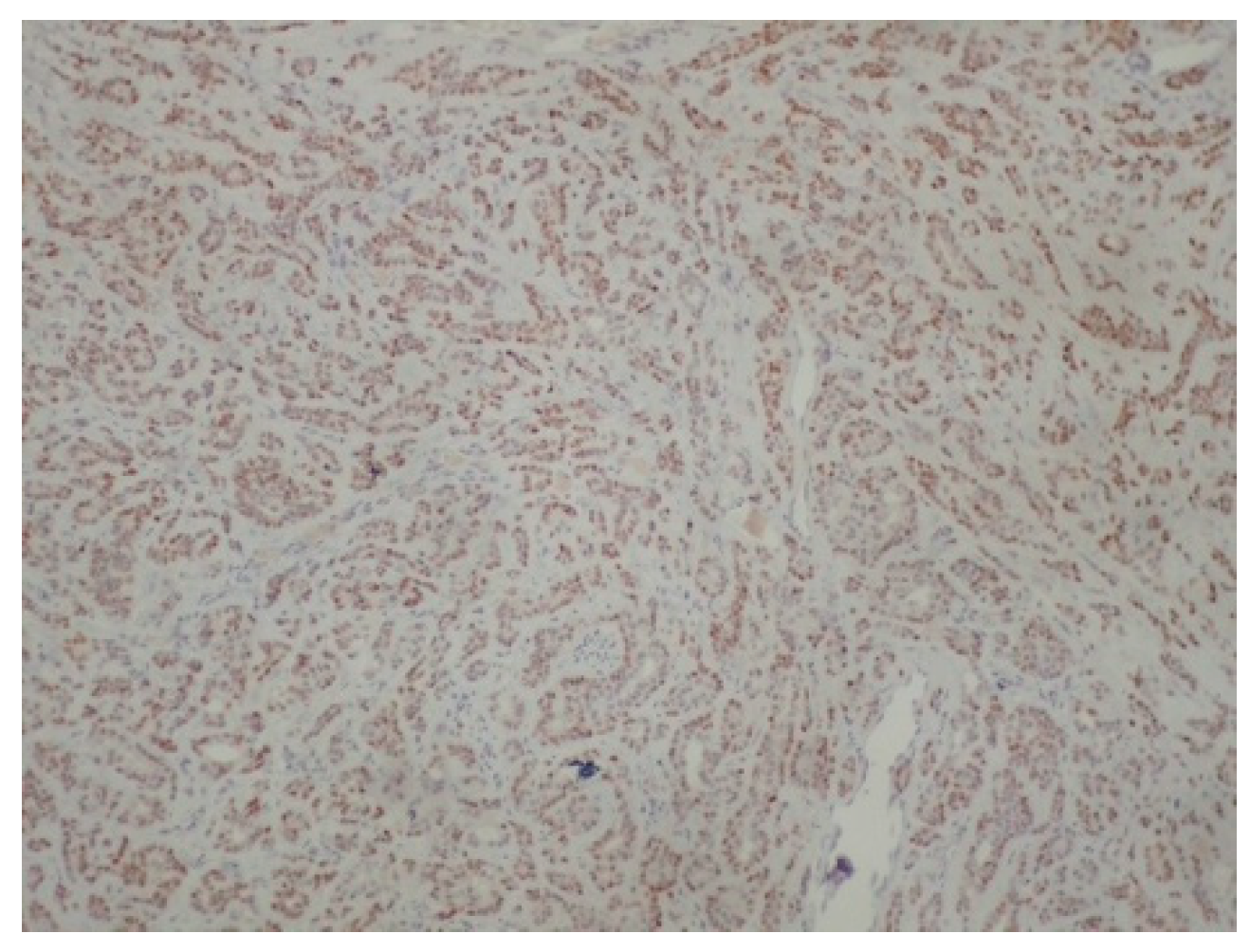 Reports 08 00070 g006