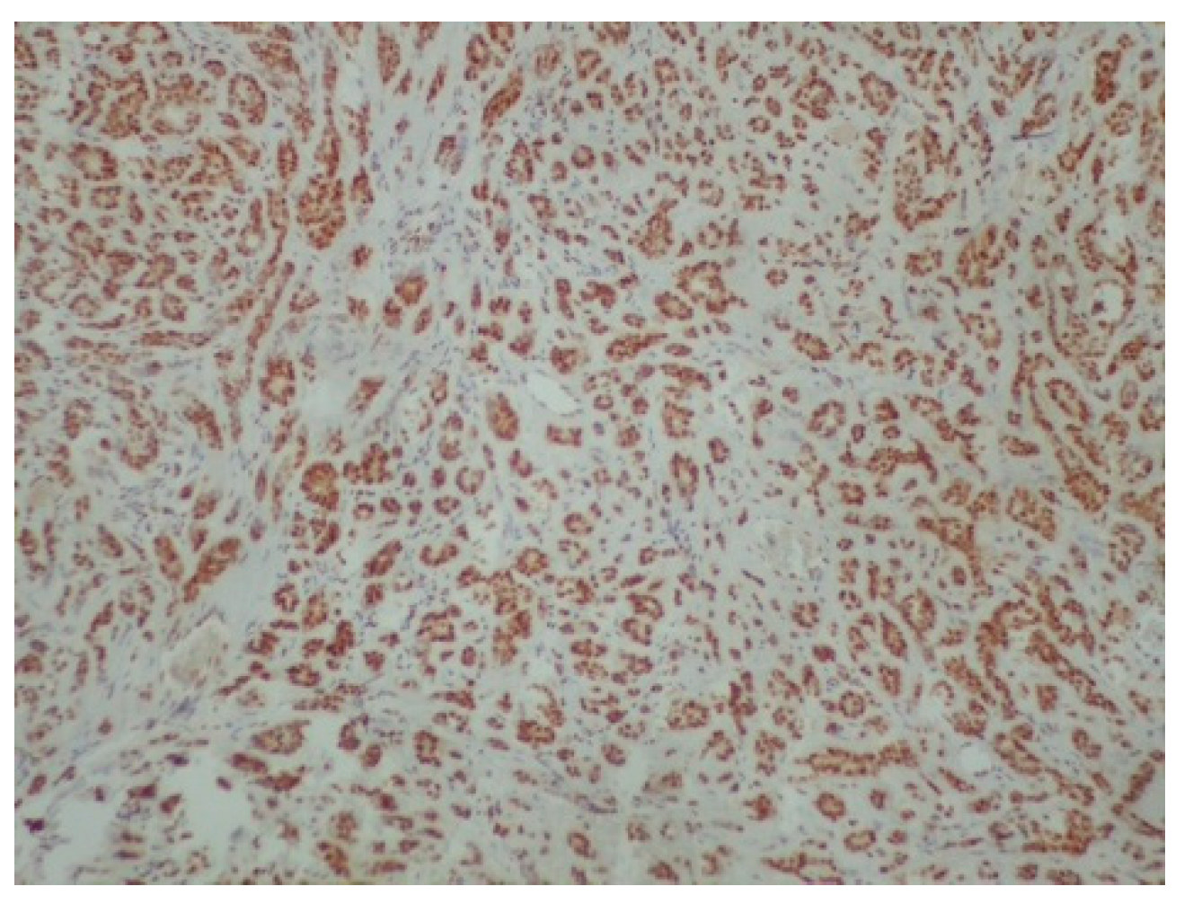 Reports 08 00070 g007