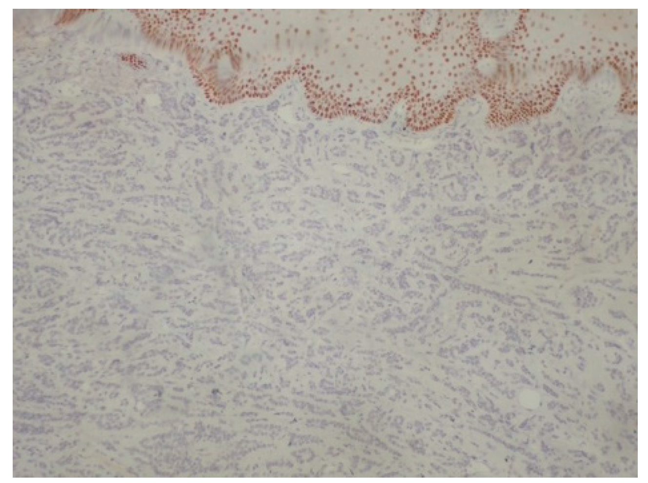 Reports 08 00070 g008