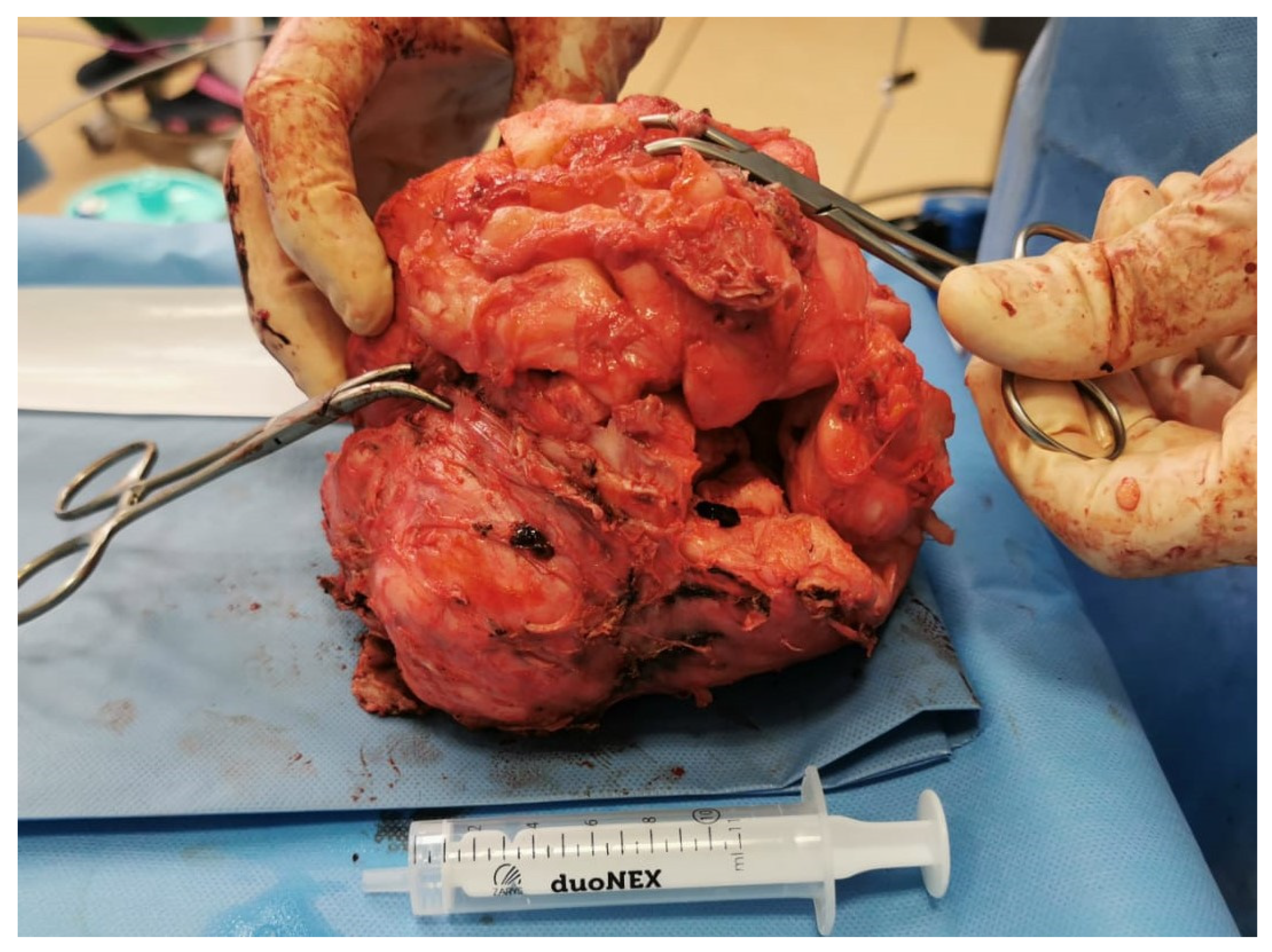 Reports 08 00071 g002