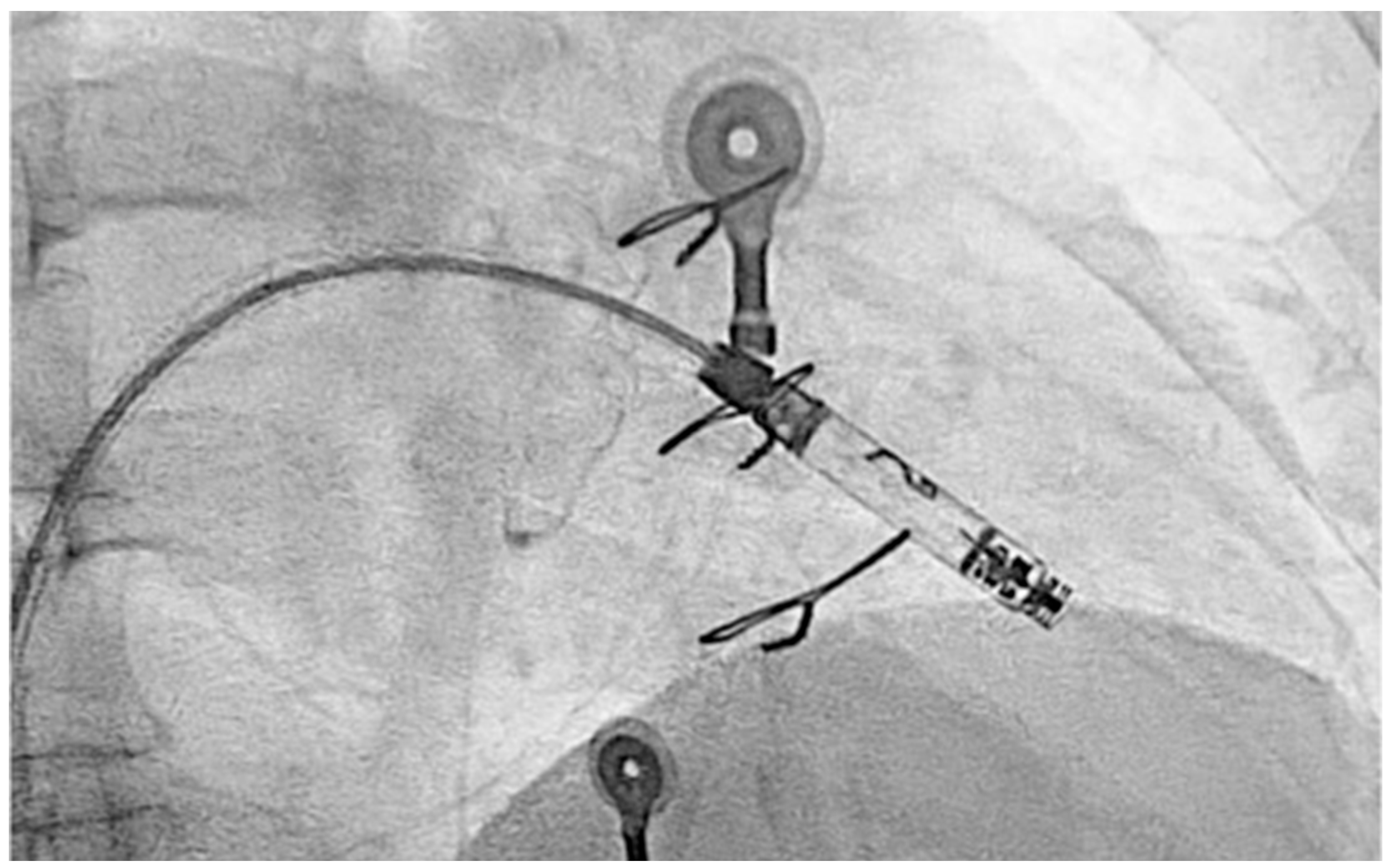 Reports 08 00072 g005