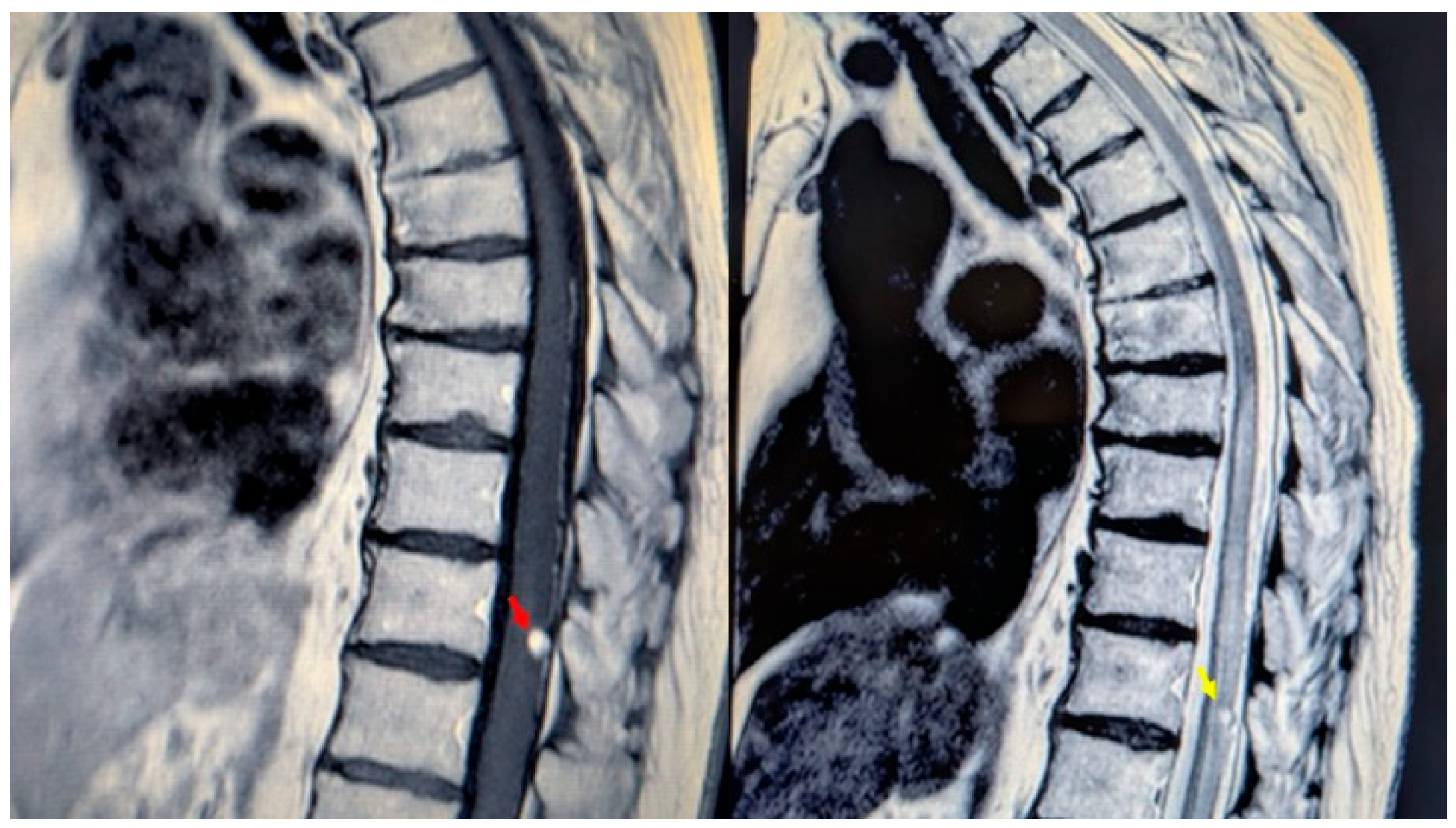 Reports 08 00074 g001