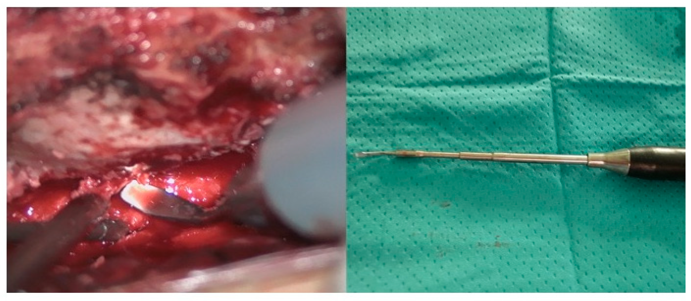 Reports 08 00074 g002