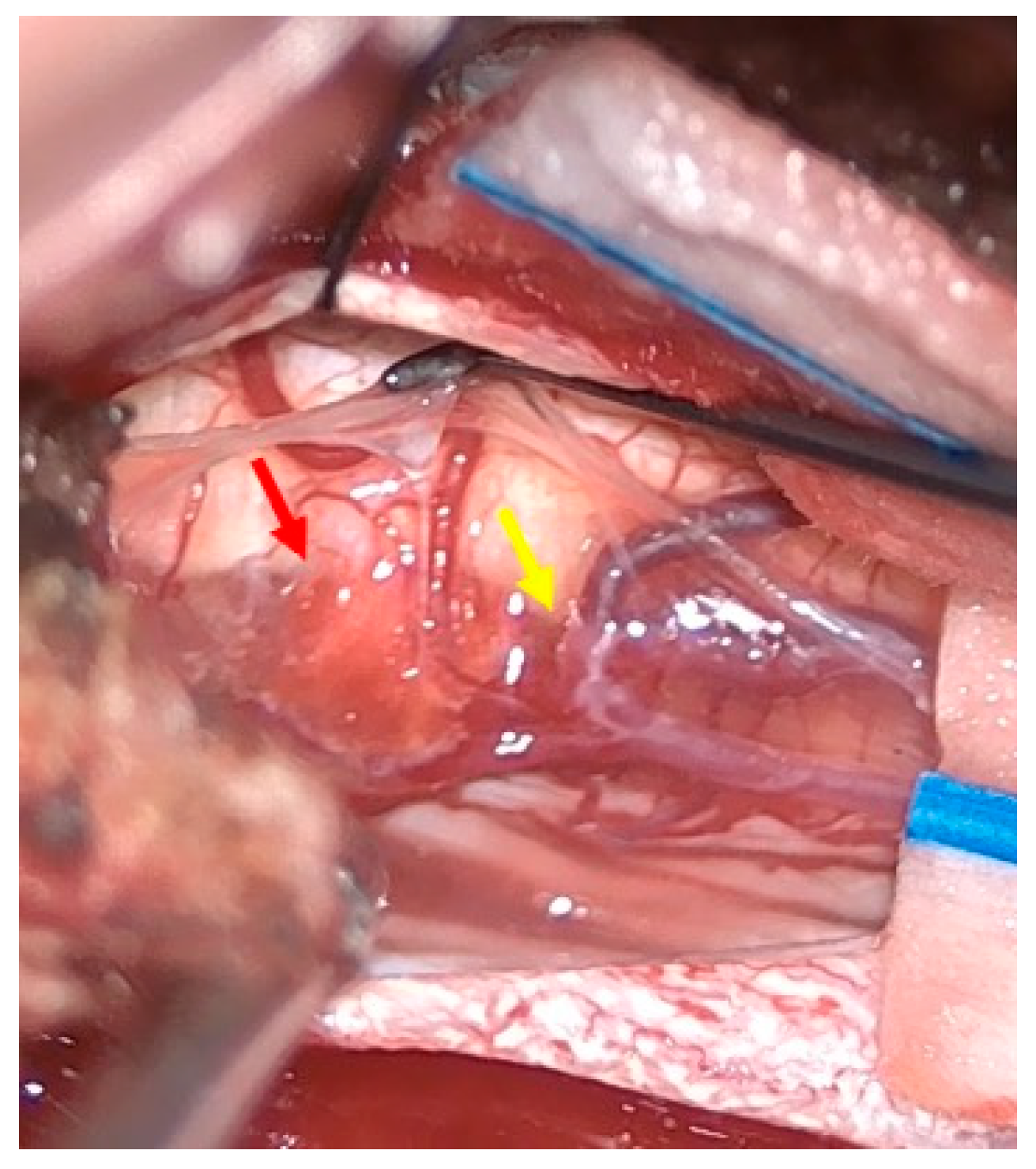 Reports 08 00074 g004