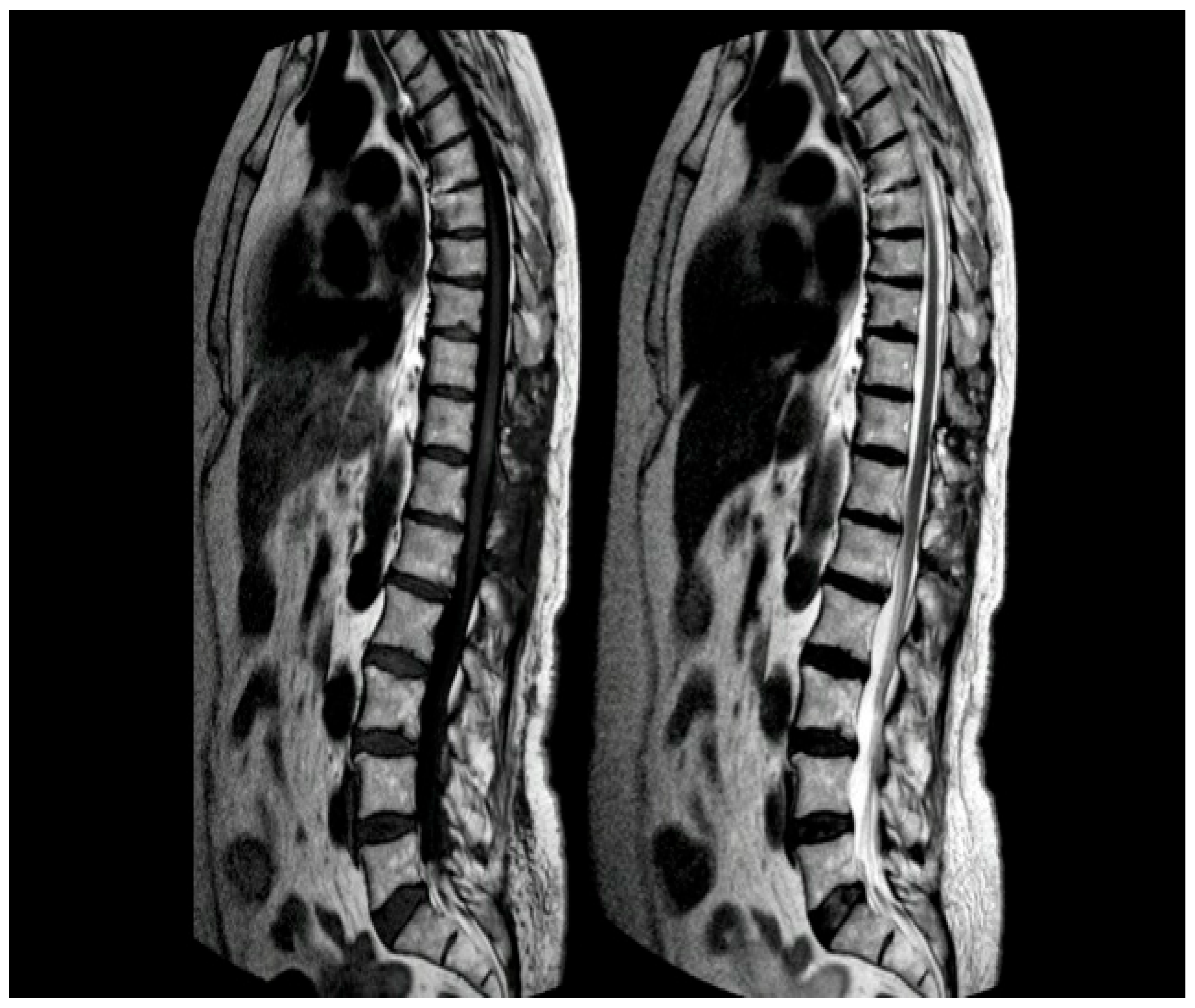 Reports 08 00074 g005