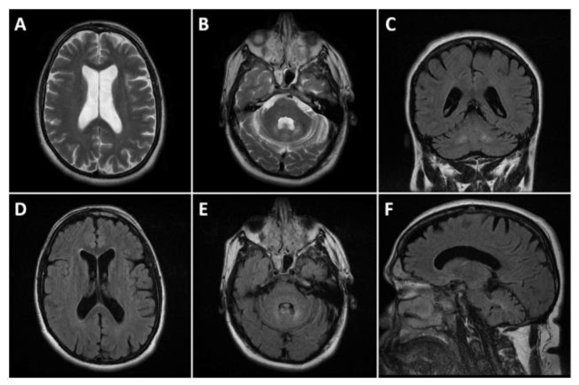 Reports 08 00077 g002