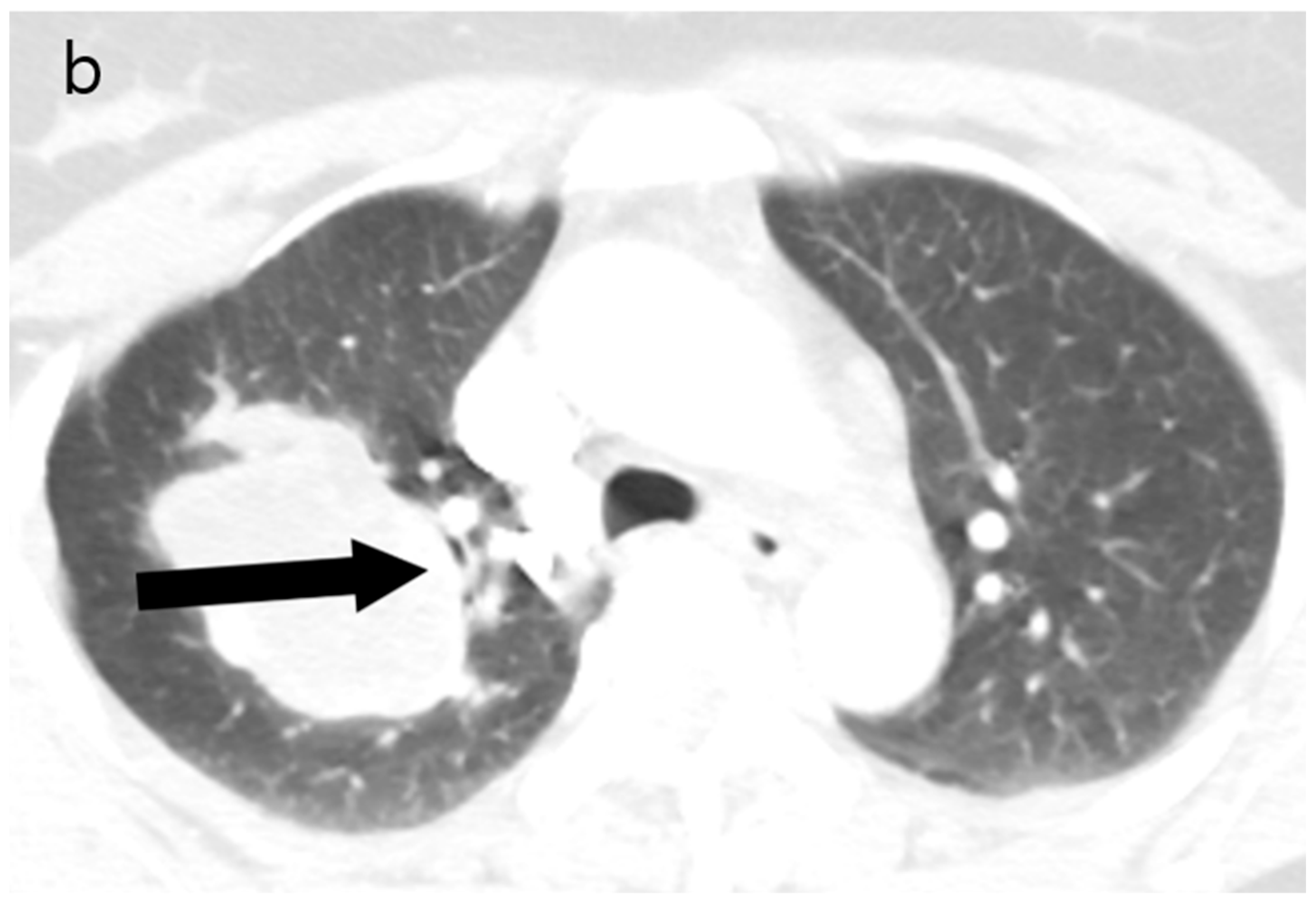 Reports 08 00078 g002b