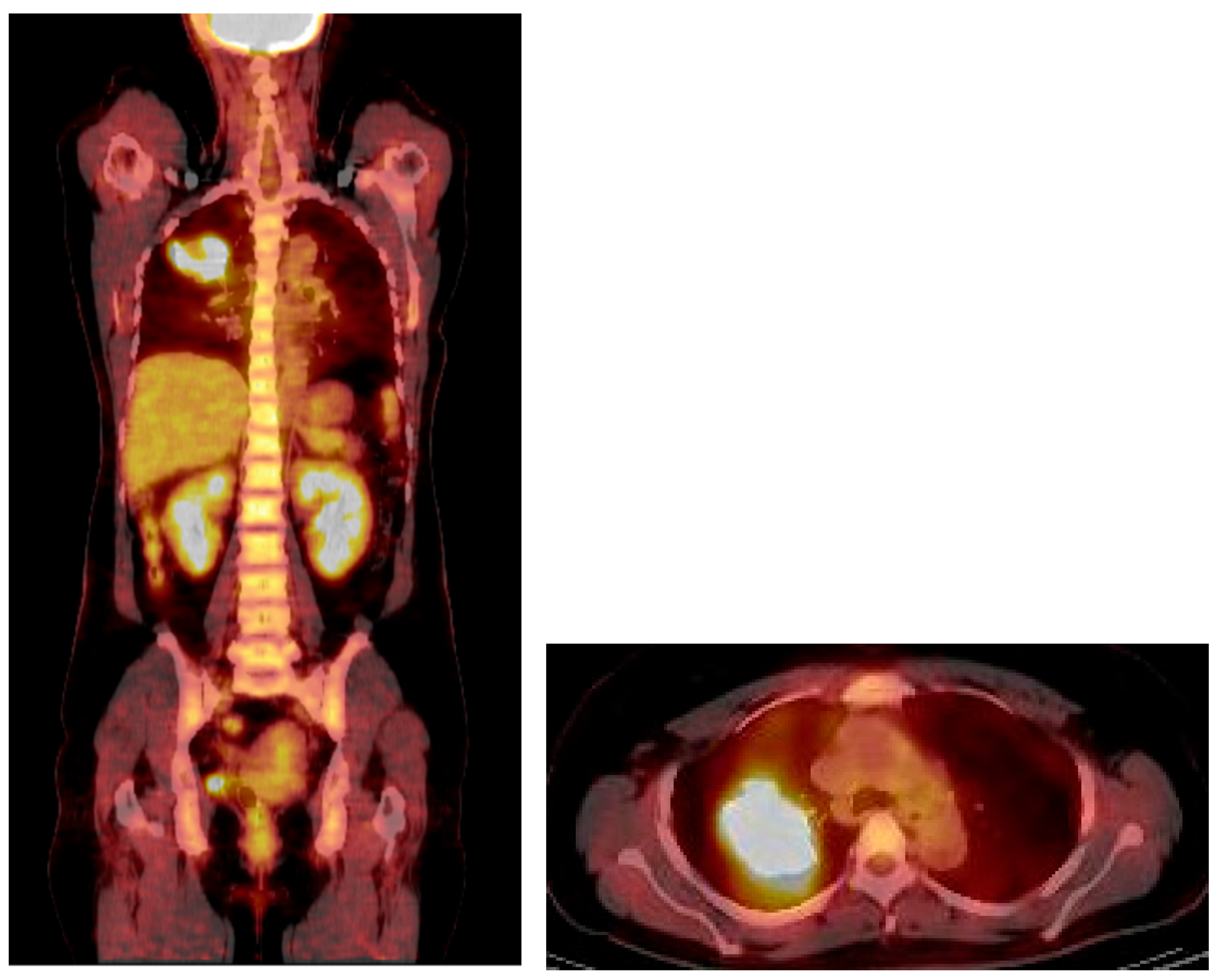 Reports 08 00078 g004