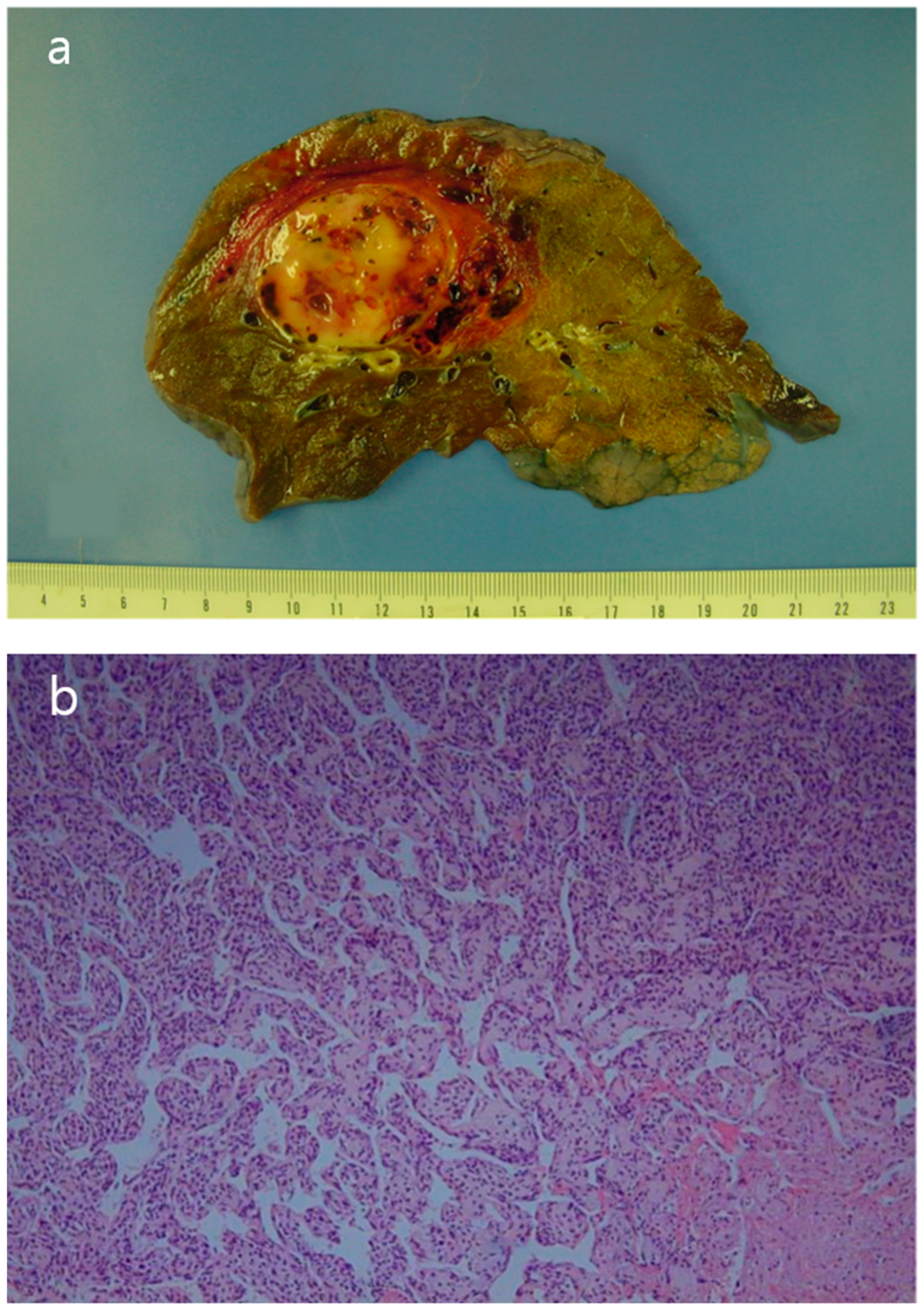 Reports 08 00078 g005a