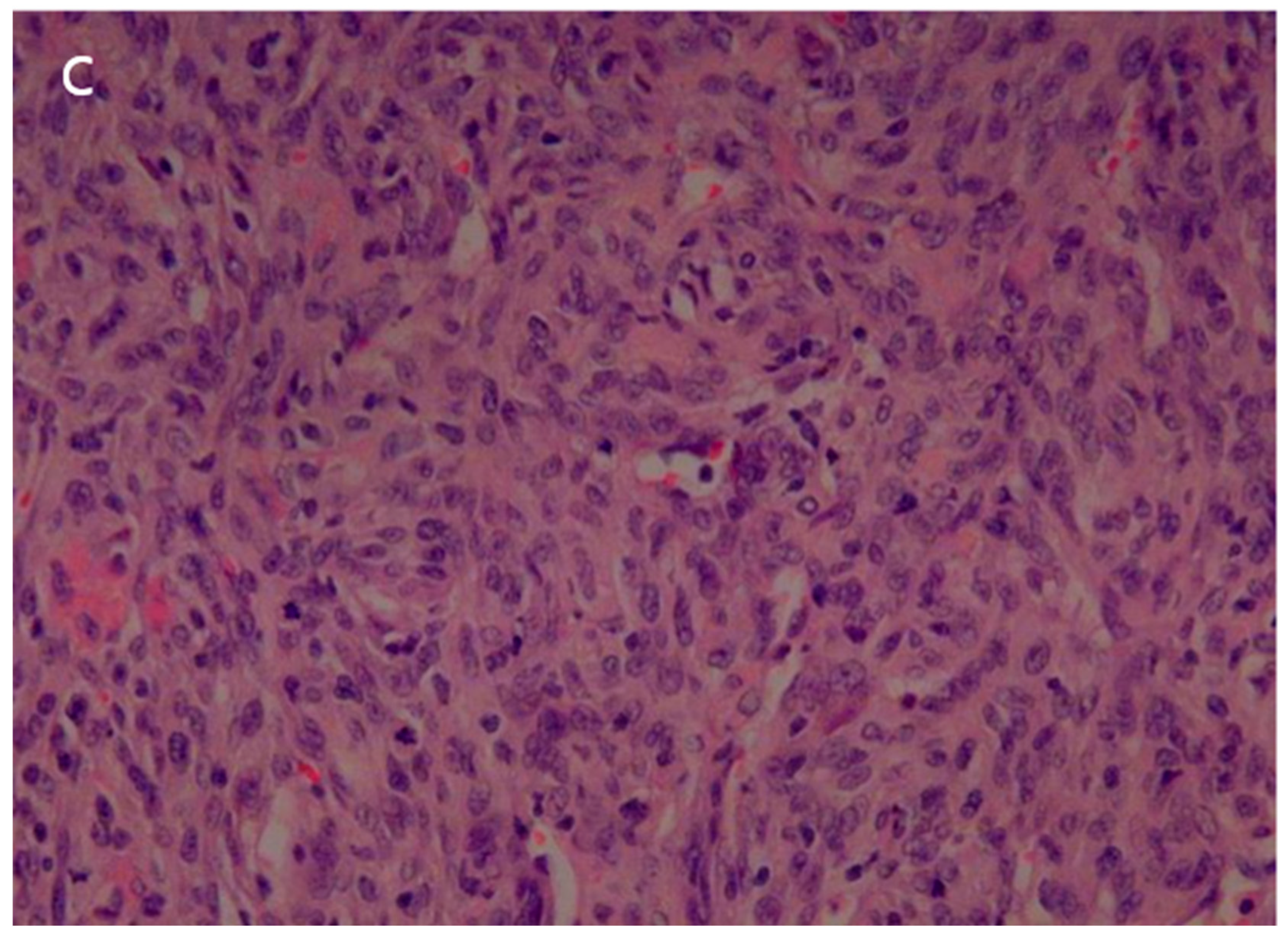 Reports 08 00078 g005b