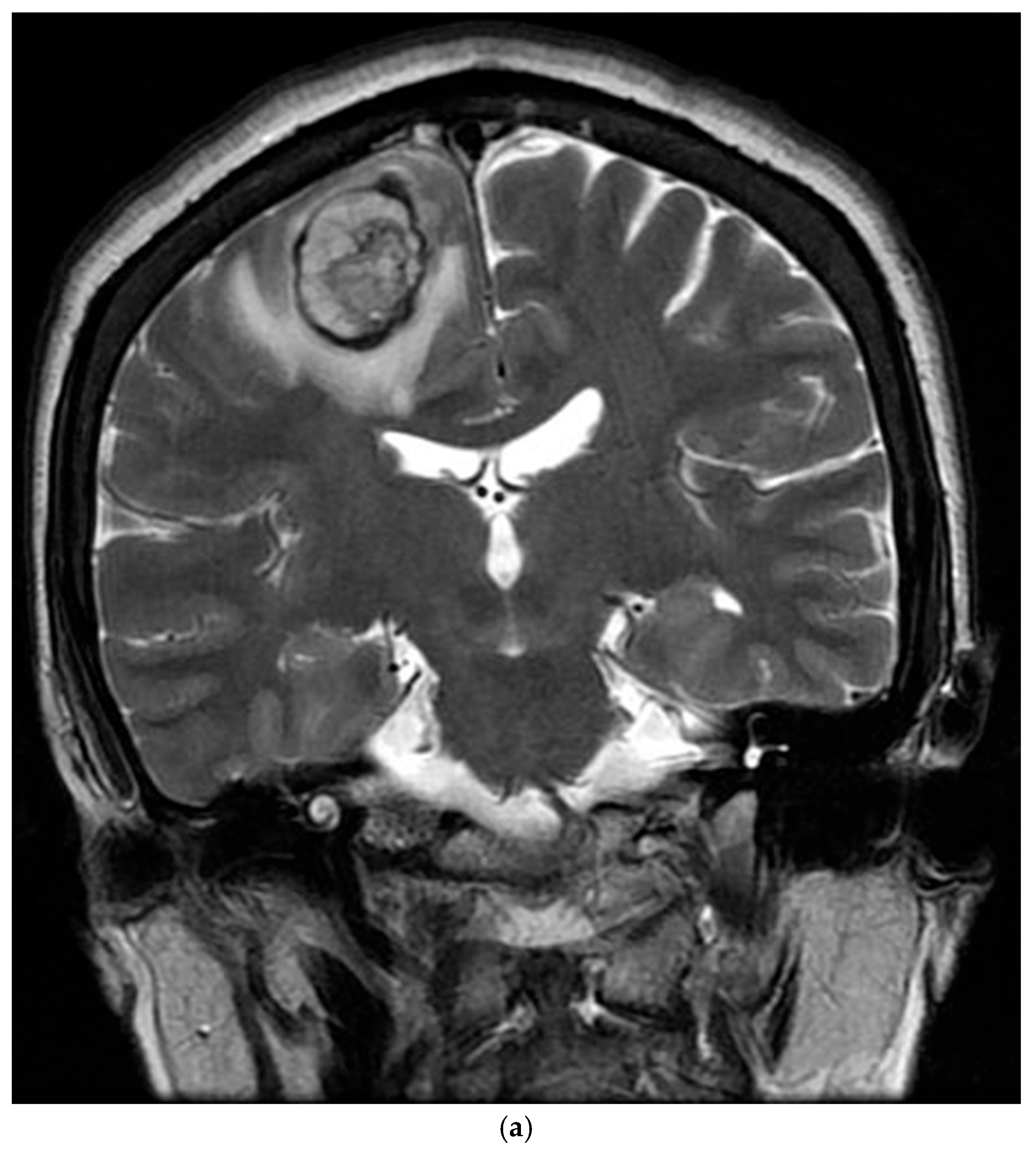 Reports 08 00078 g006a