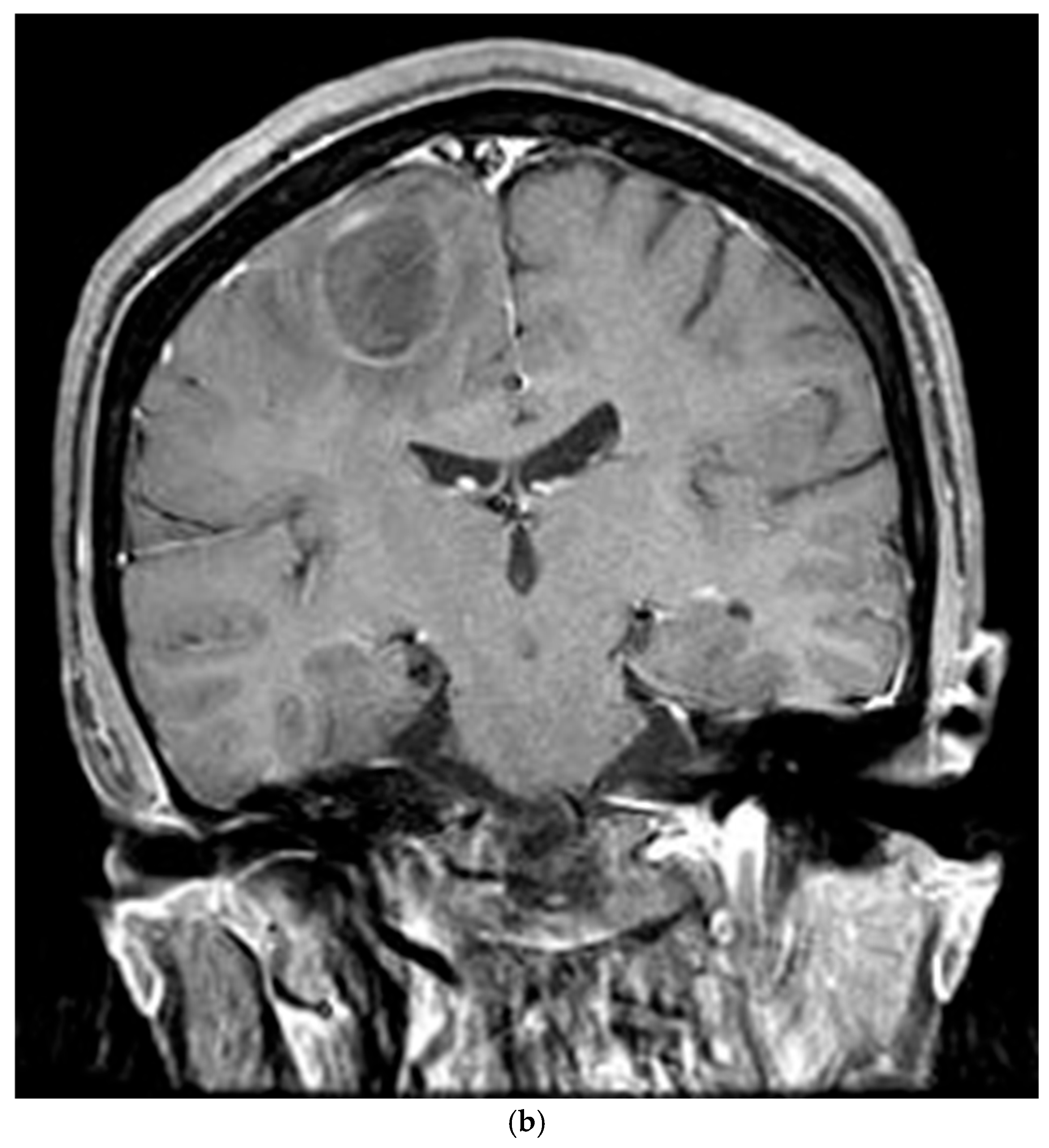 Reports 08 00078 g006b