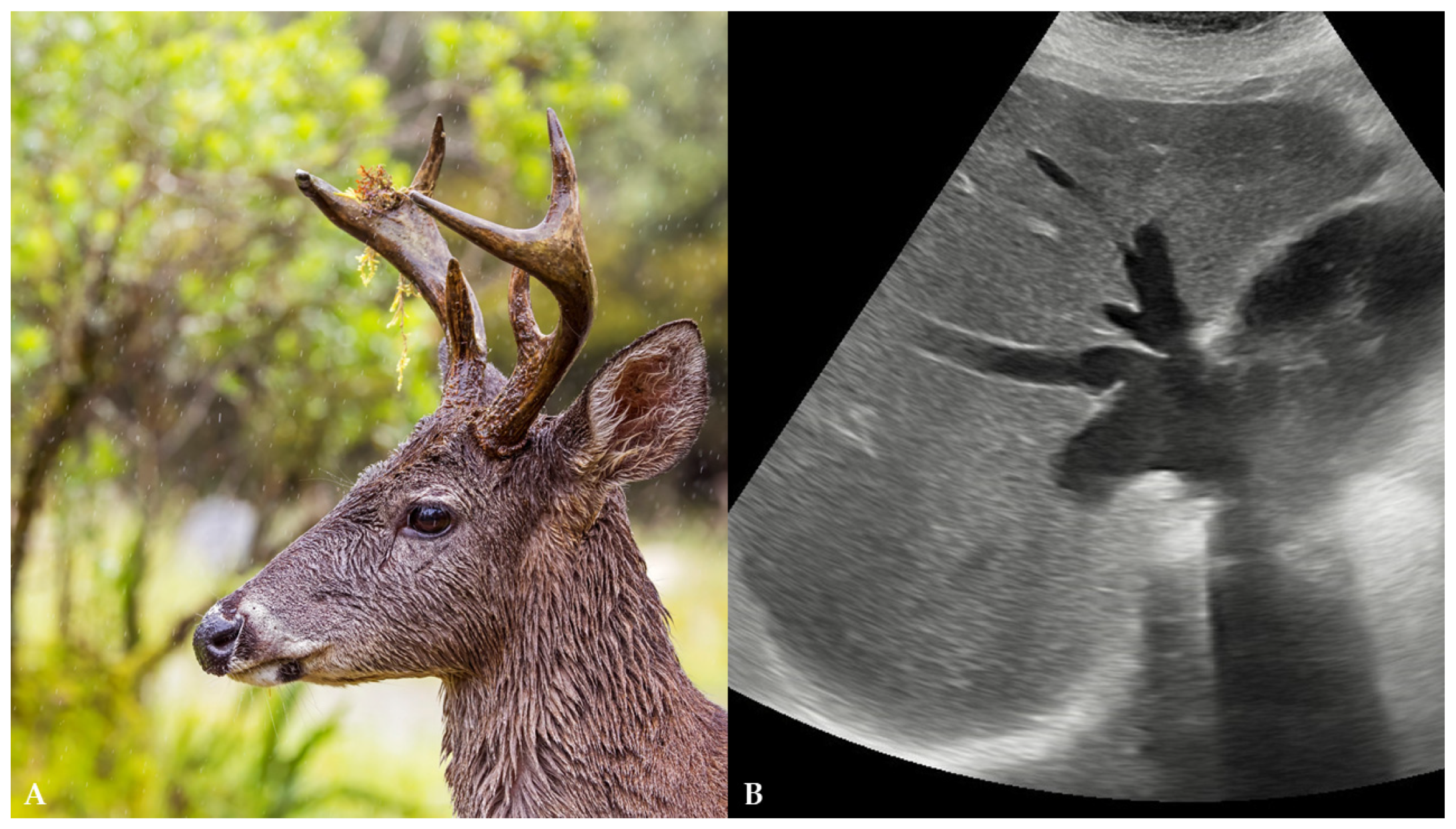 Reports 08 00079 g001